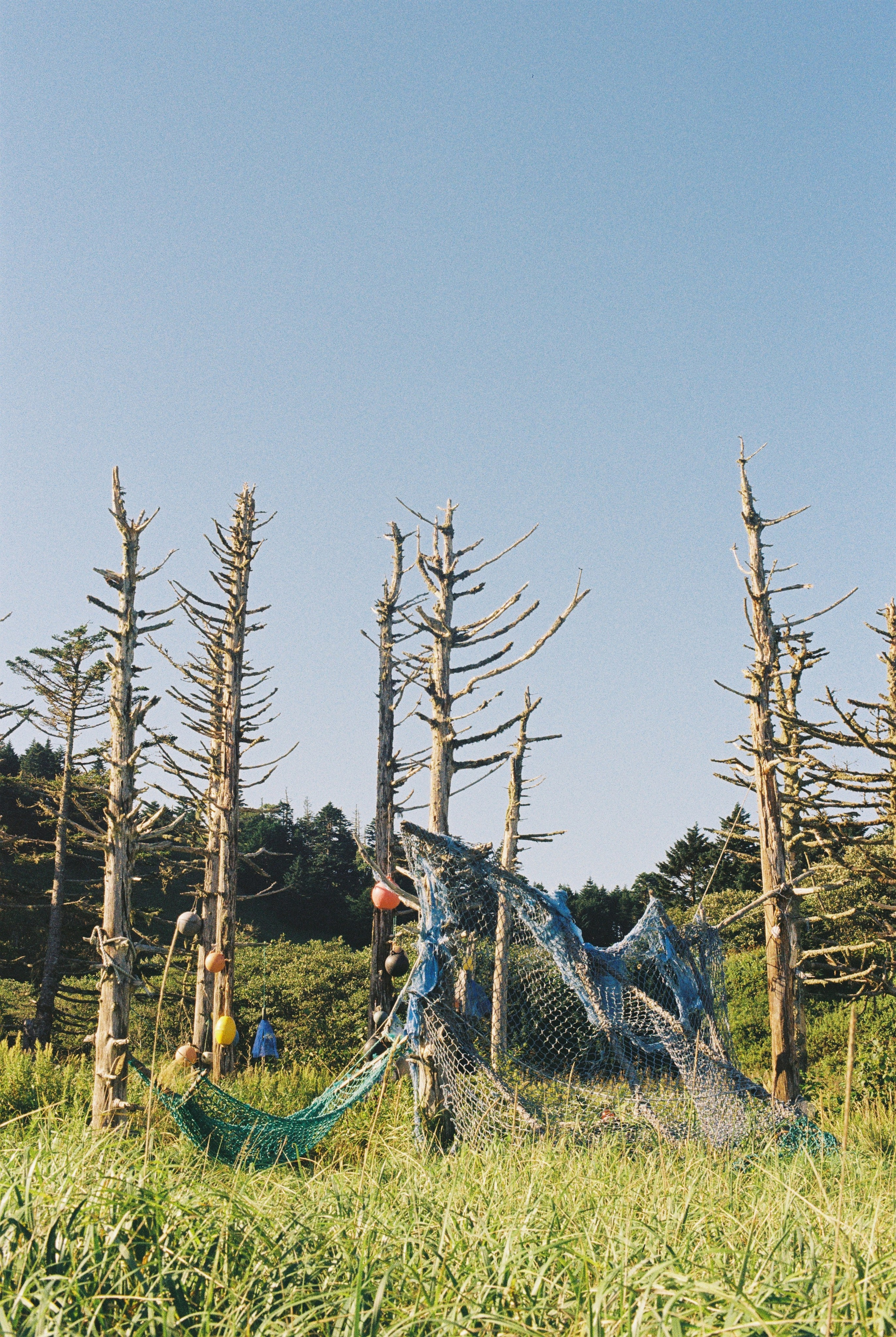 EXHIBITION. Репортажный и интерьерный фотограф, фотохудожник