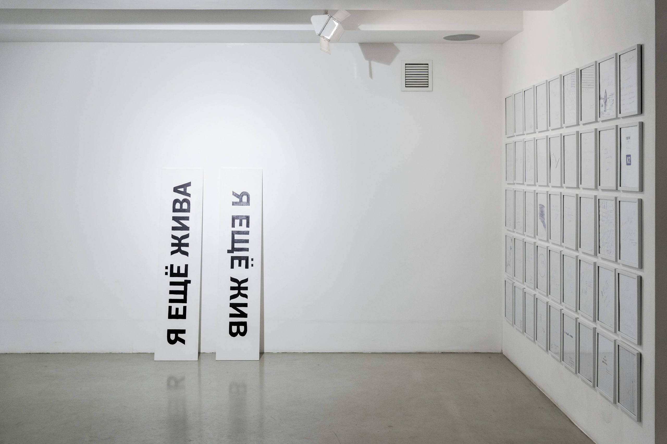 Выставки. Коммерческий фотограф в Санкт-Петербурге Ксения Максимова