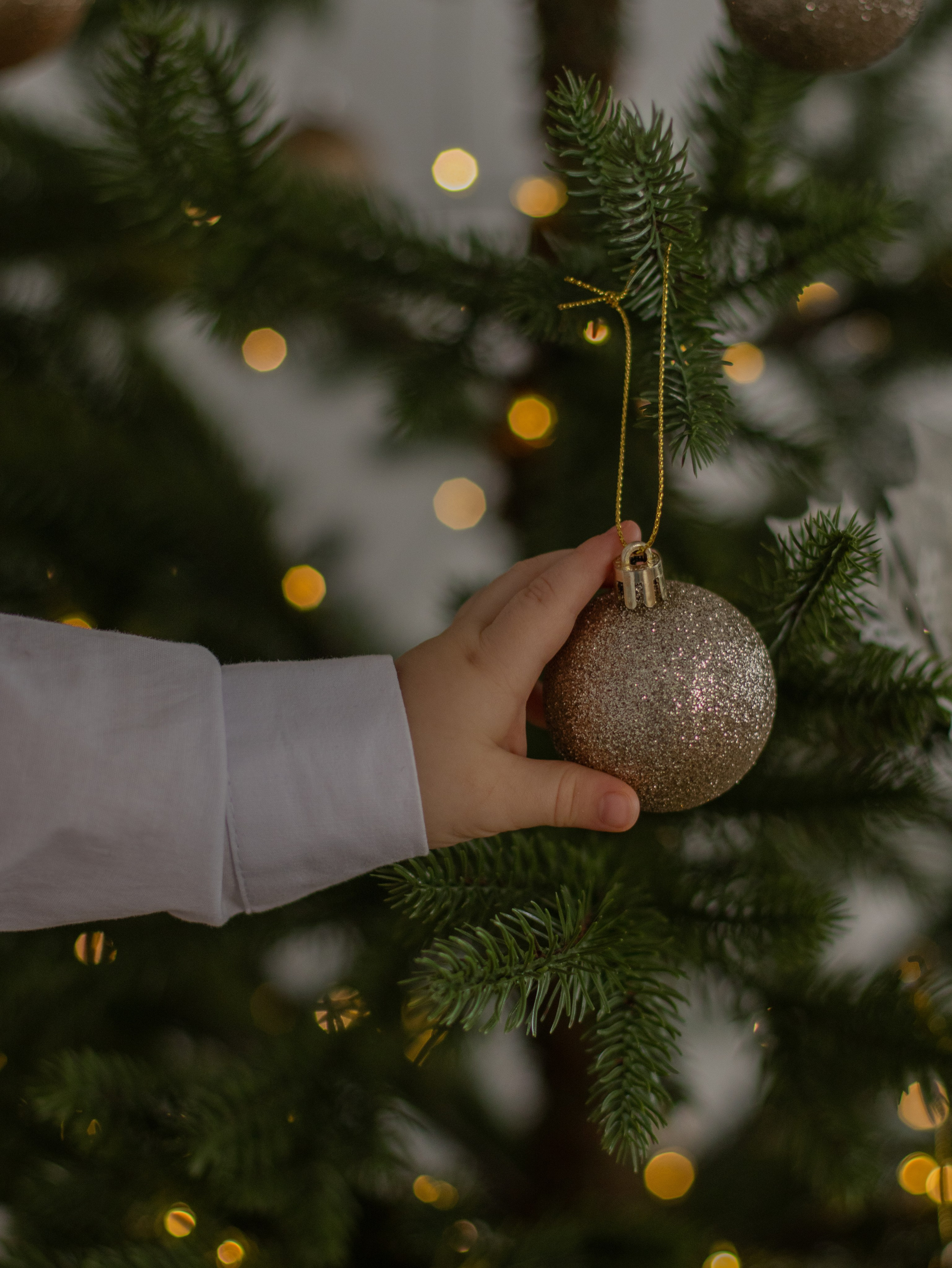 Семья Ворониных. Семейный фотограф в Ангарске Екатерина Трифонова