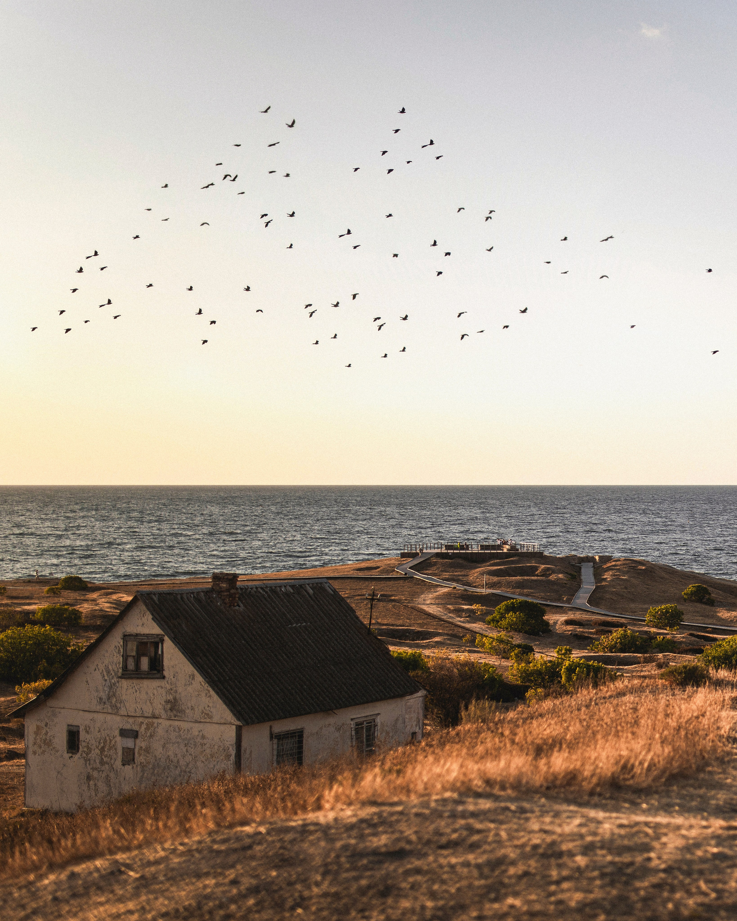 | МАМА И СЫН |