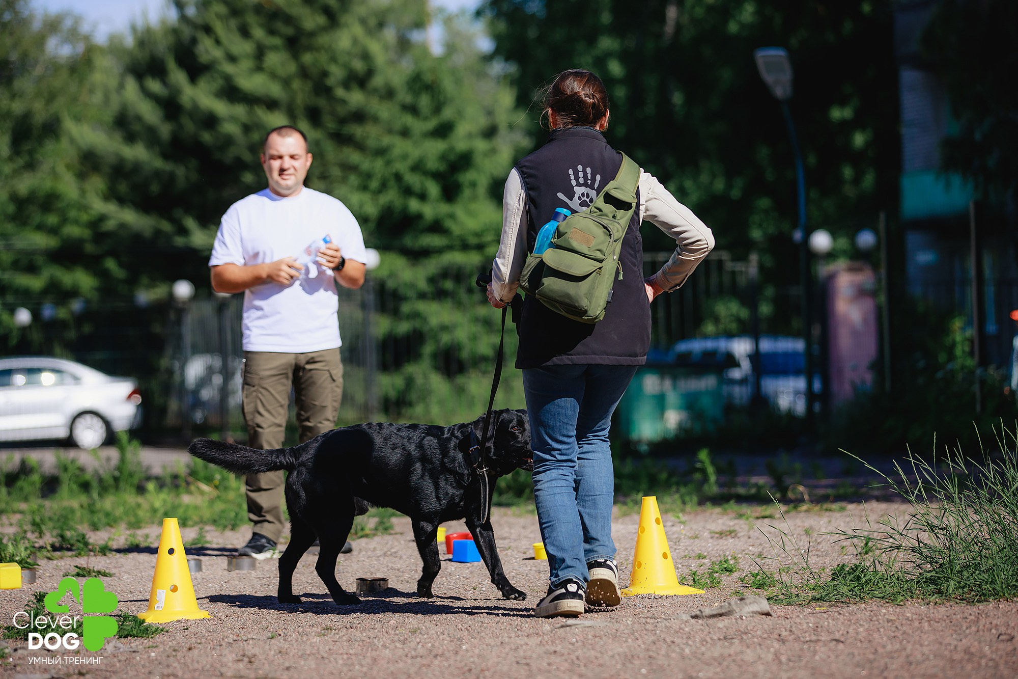 Семинар по поиску запаха с Иваном Ломовым, организатор CleverDog, СПб. Фотограф-анималист Mary Mart — Москва, Питер