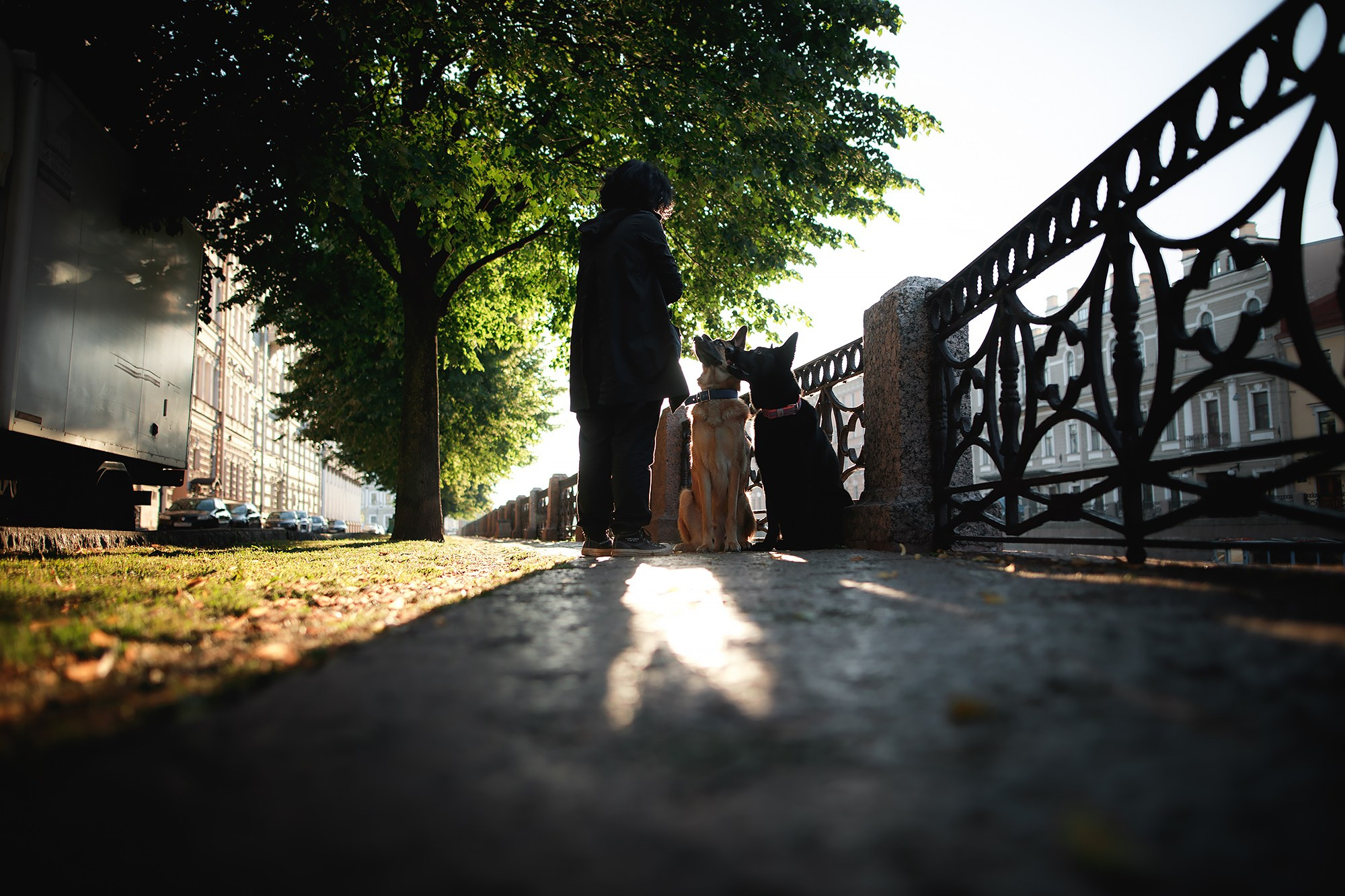 Алена, Кай и Мара. Фотограф-анималист Mary Mart — Москва, Питер