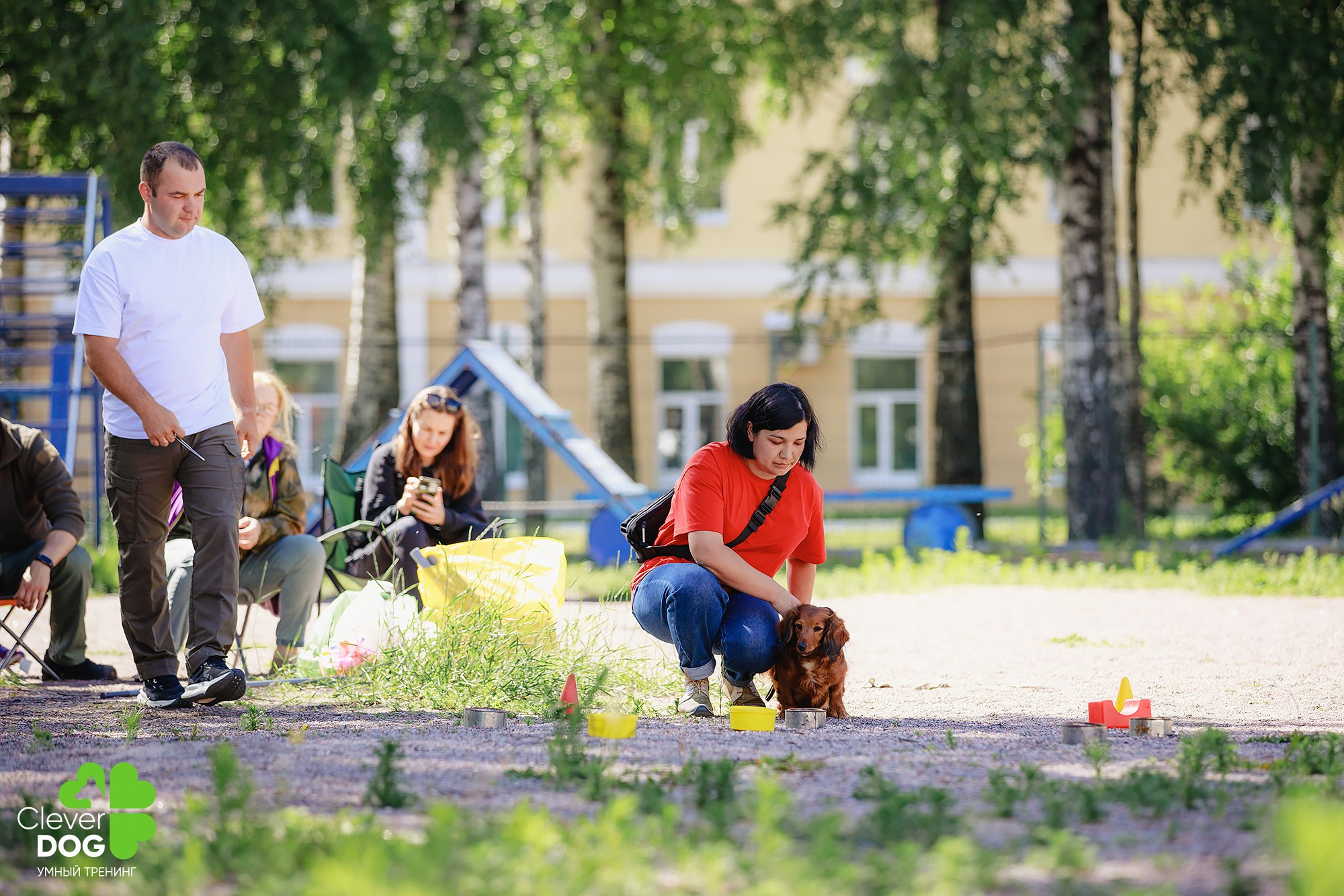 Семинар по поиску запаха с Иваном Ломовым, организатор CleverDog, СПб. Фотограф-анималист Mary Mart — Москва, Питер