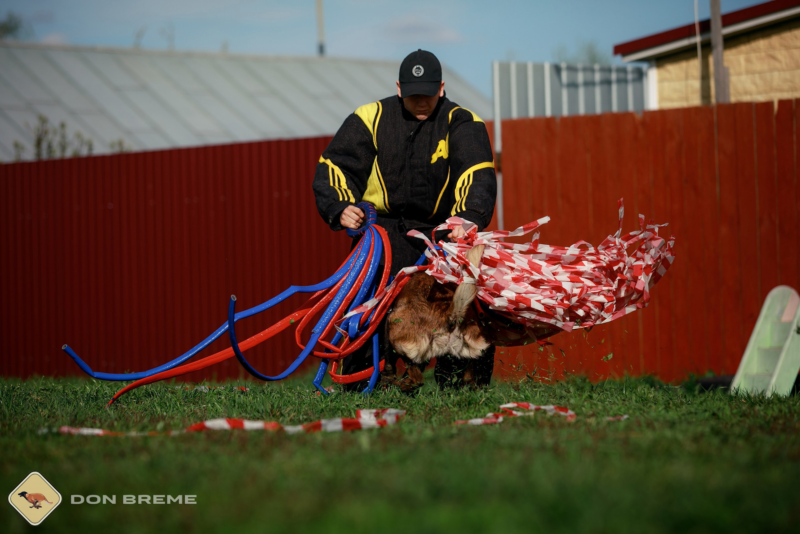 Семинар для фигурантов, день 2. Фотограф-анималист Mary Mart — Москва, Питер