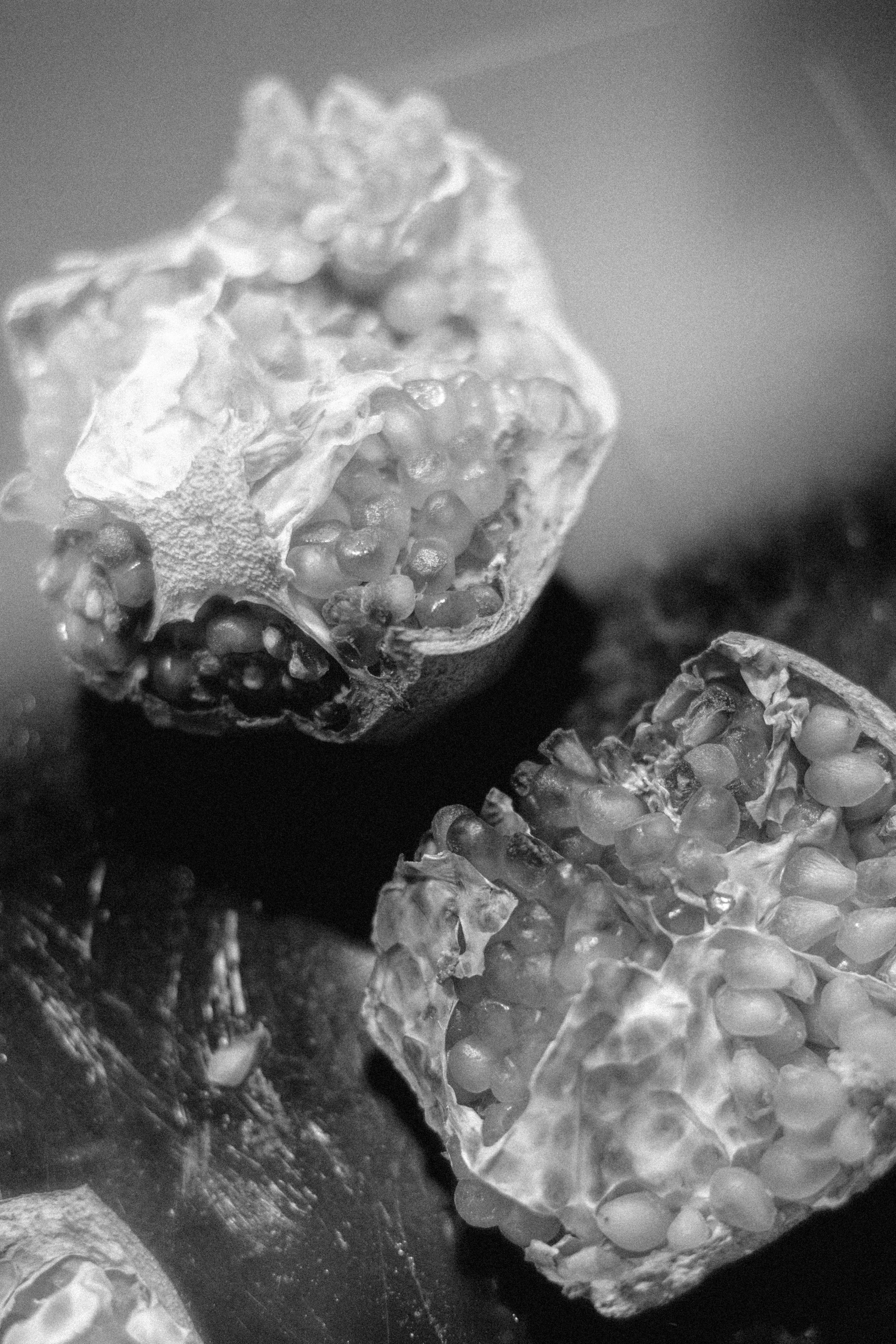 Предметная съемка. Фотограф Полина Треногина