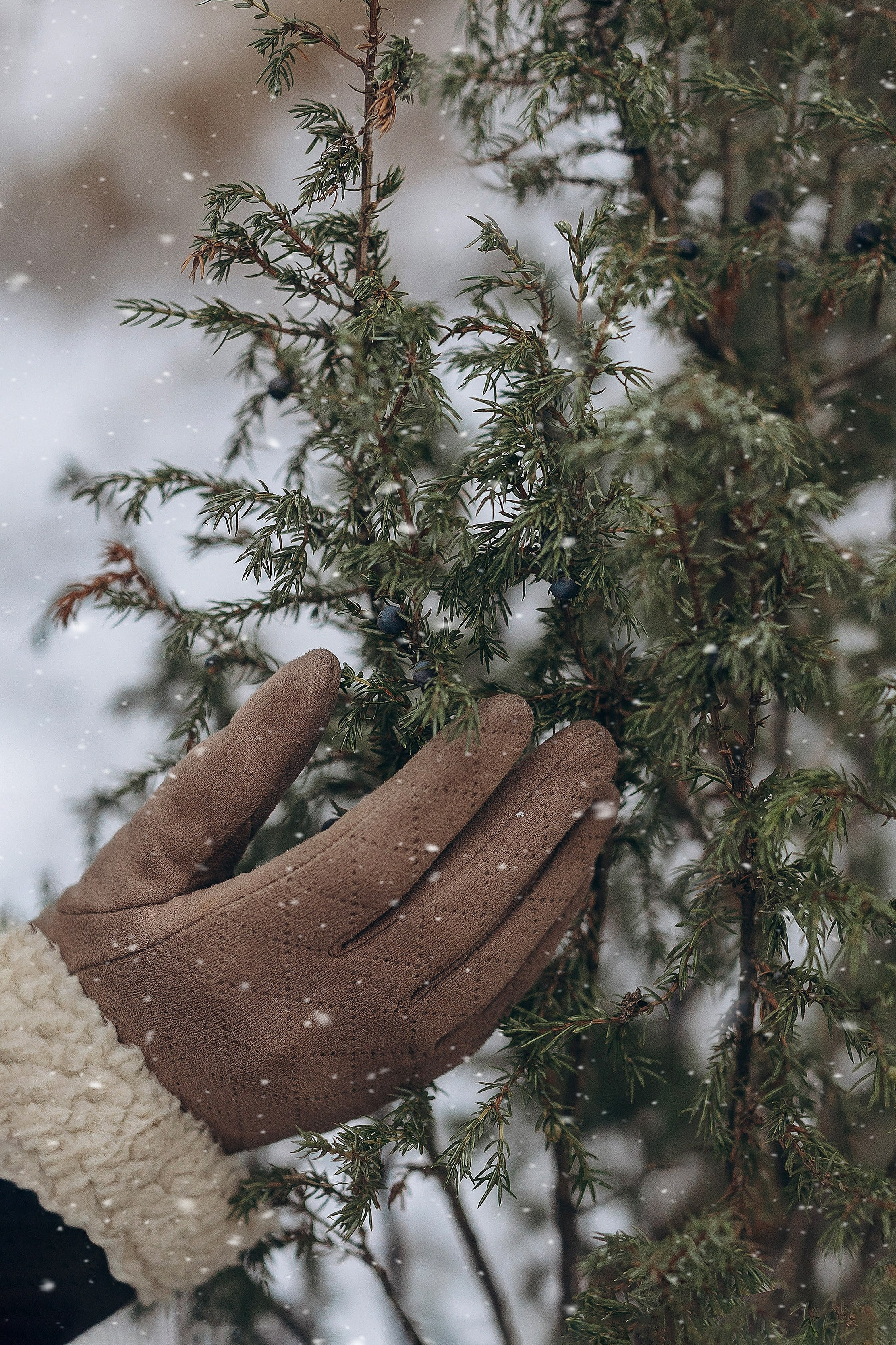 У реки. Портретный, семейный и свадебный фотограф в Нарьян-Маре