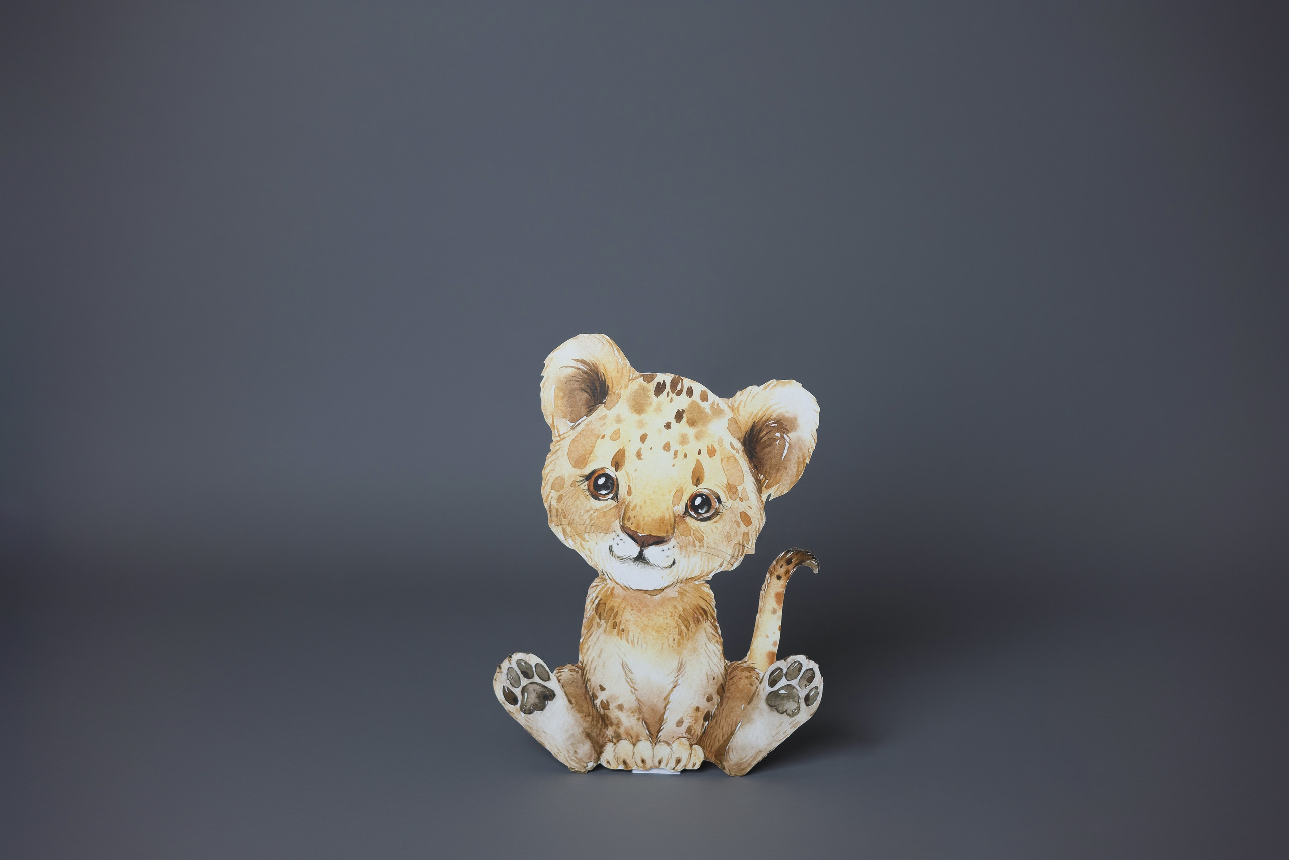 Картонные декорации в студии. Фотостудия в Строгино