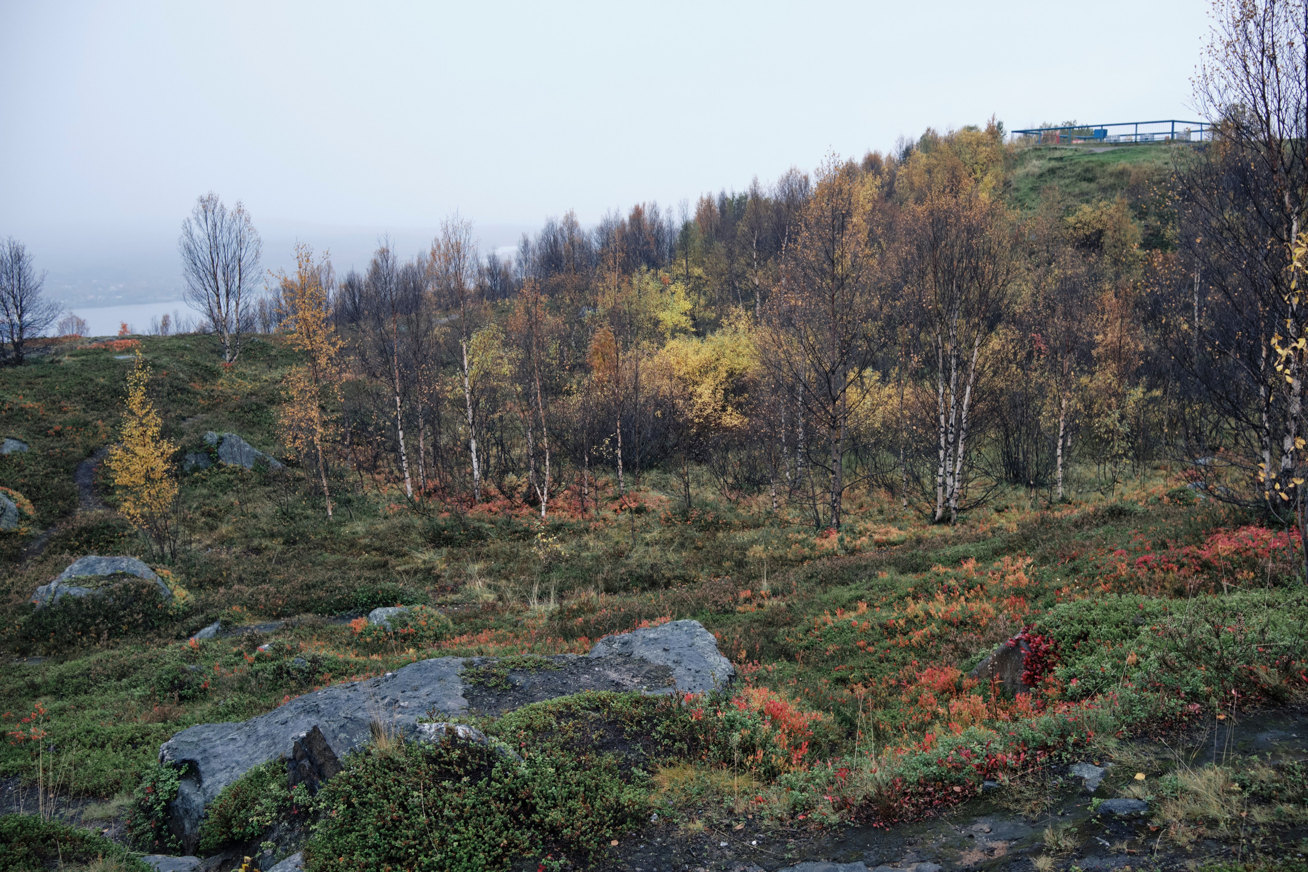 Поездка в Мурманск. Заметки и фото. Елена Павленко. Фотограф. Москва