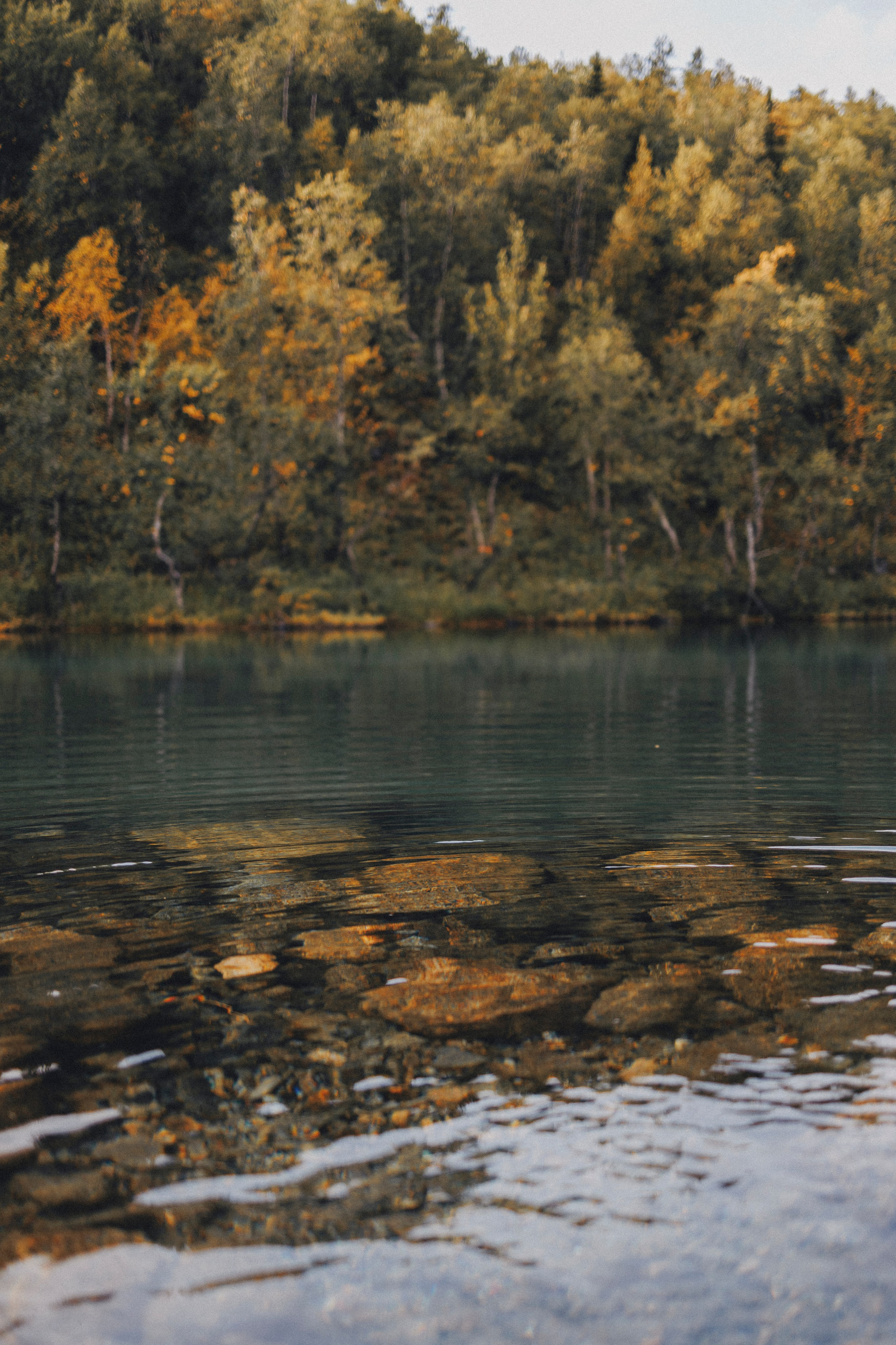 Горное озеро. Фотограф-анималист Анна Маринич