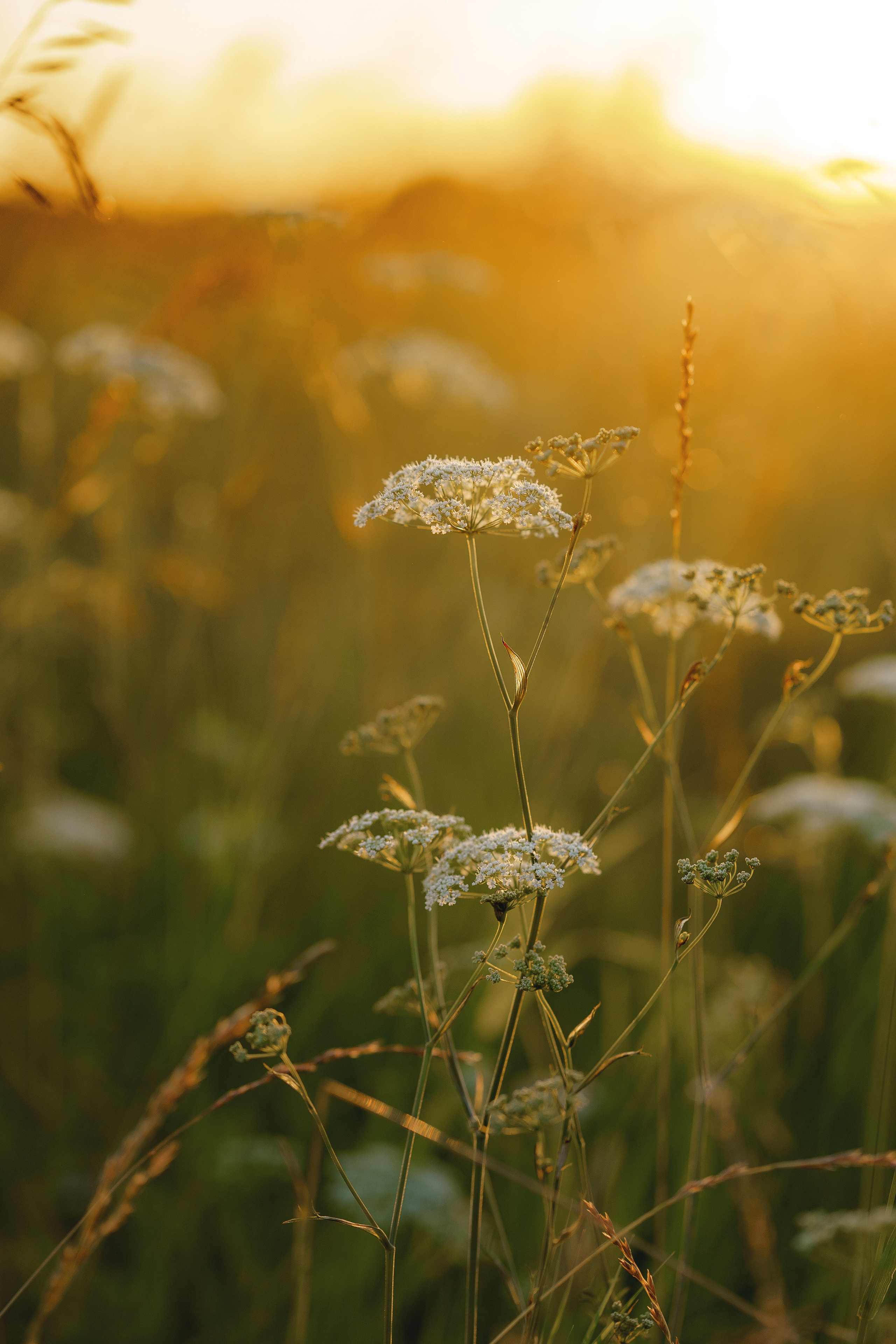 Мама и дочка. Татьяна Тагель