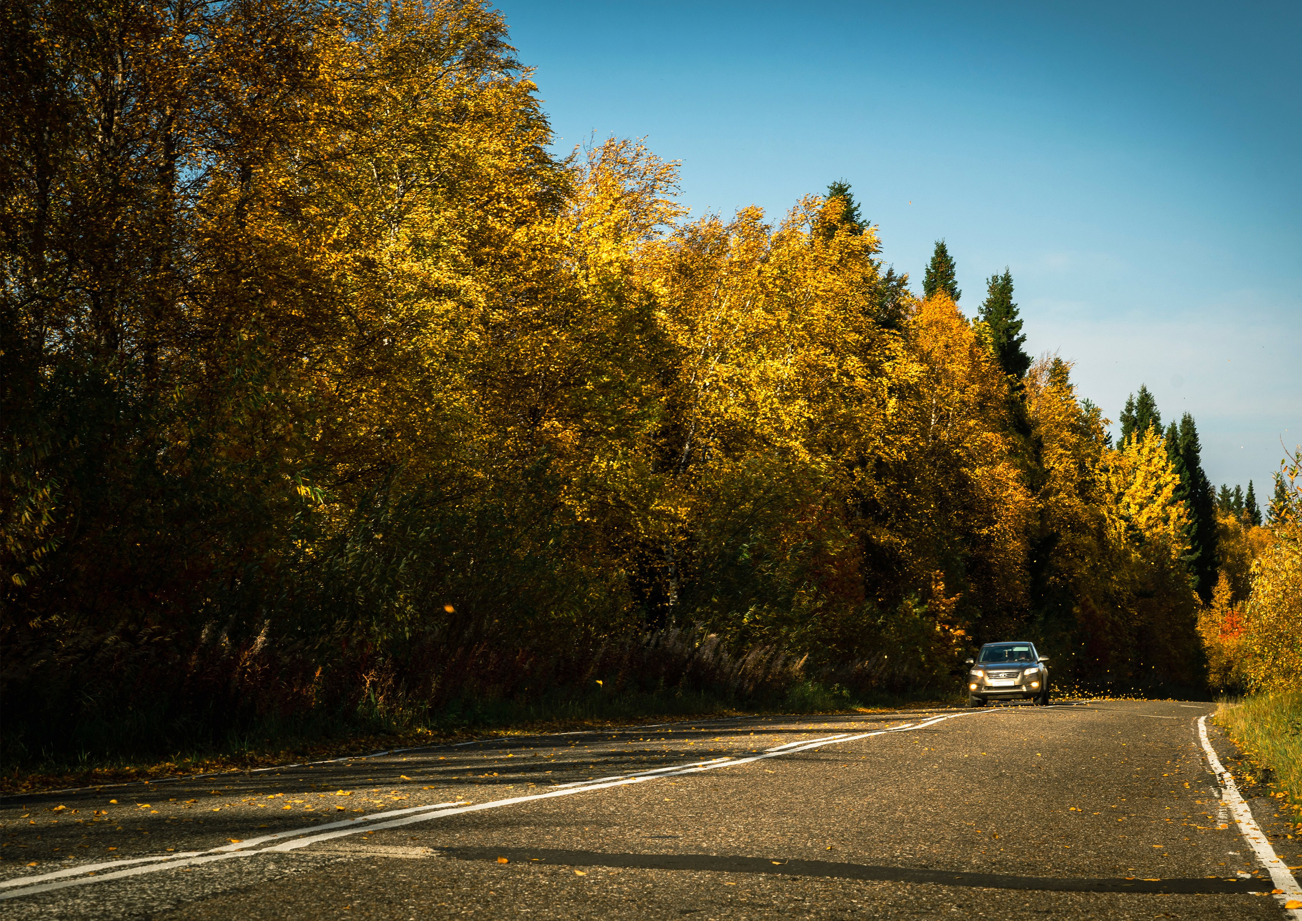 Осень. Фотограф в с. Ижма Республика Коми Терентьев Сергей