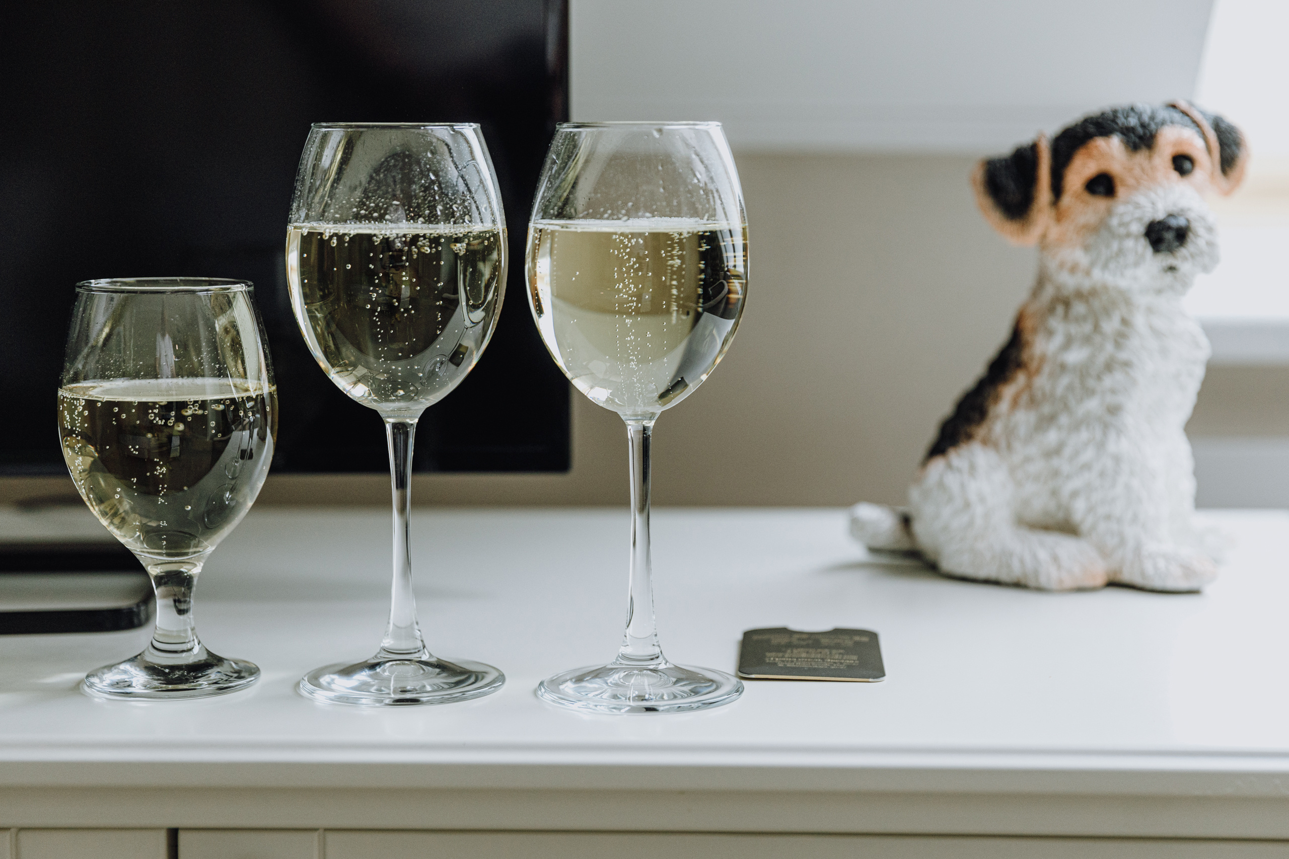 ВИТА И САША — Анонс свадьбы. Свадебный фотограф Тверь, Москва, Россия — Торопов Роман