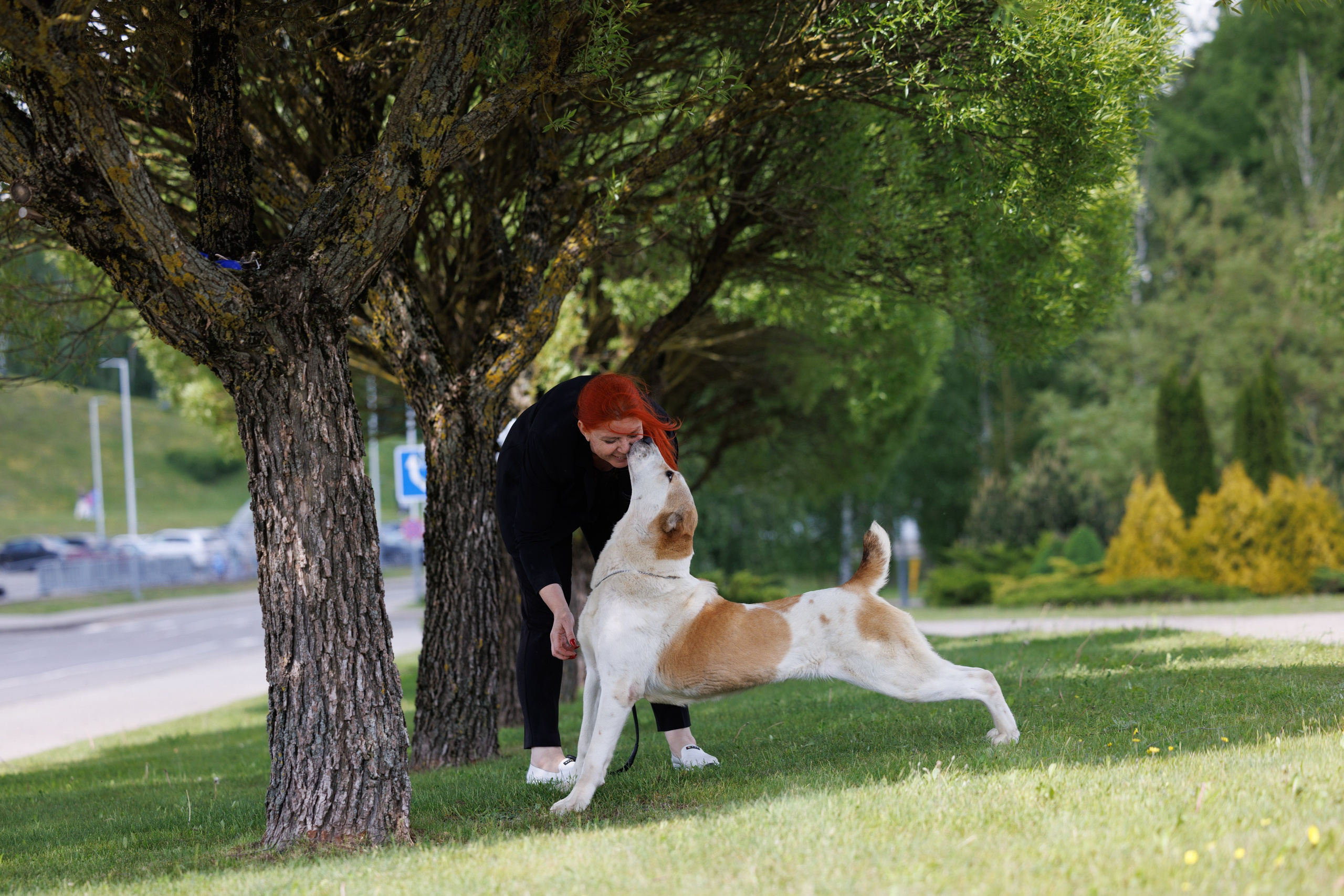 Минск 31.05-1.06.2025. Фотограф-анималист Юлия Германика