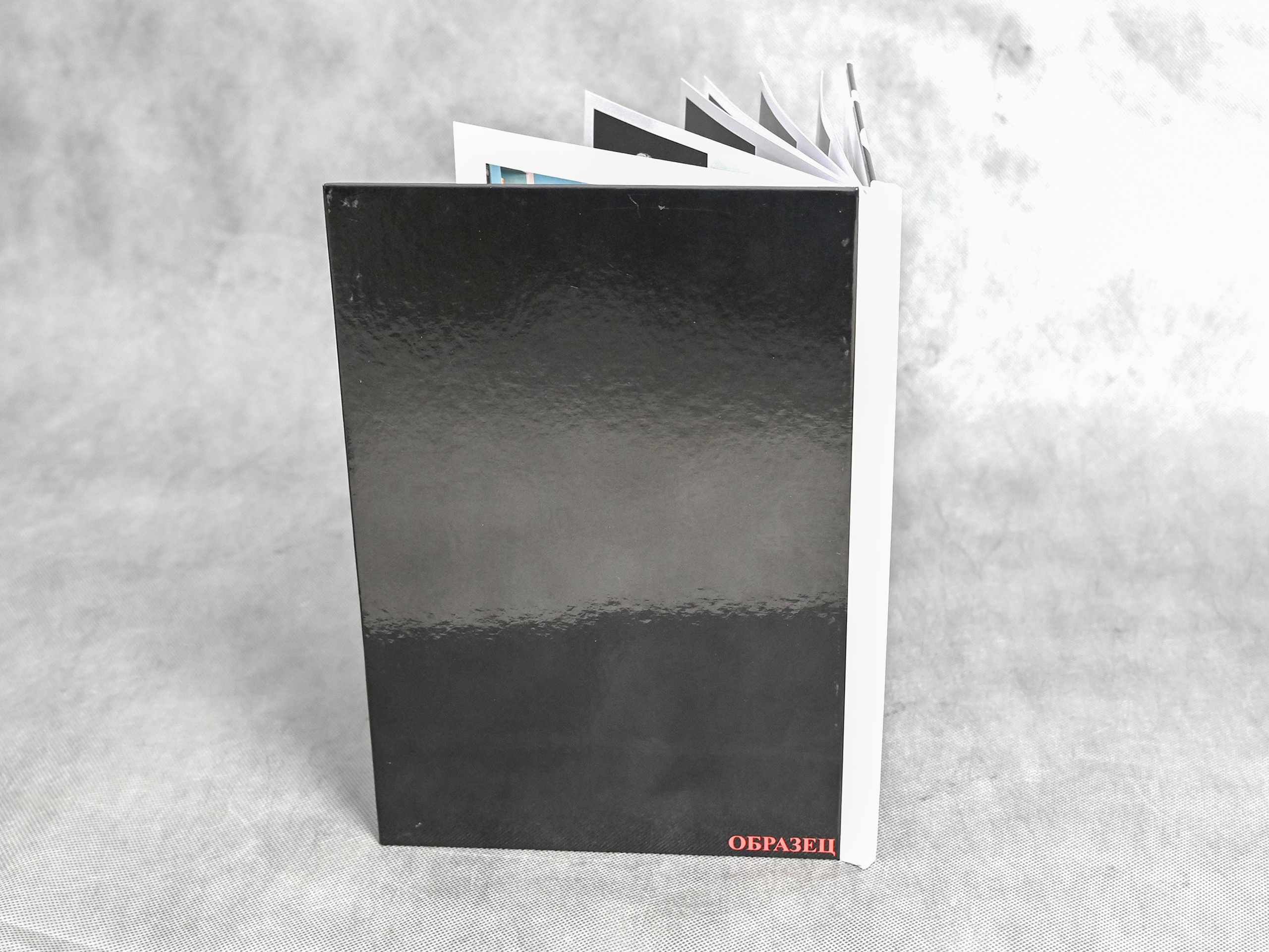 Книга с мягкими журнальными страницами 21×30см. Количество страниц — 16. Цена -2500р. Школьные фотоальбомы в Мичуринске