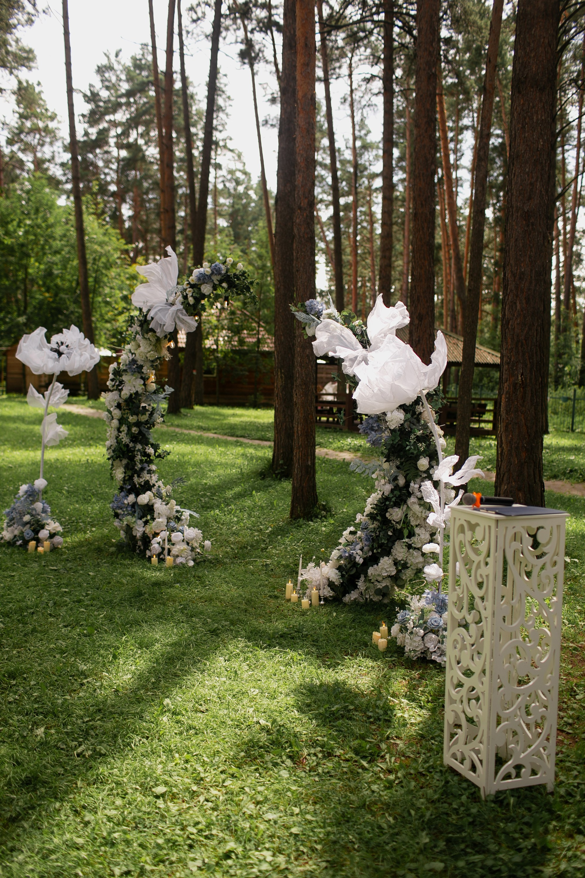 Вероника и Олег. 2024. Алина Каравайцева. Фотограф в городе Барнаул