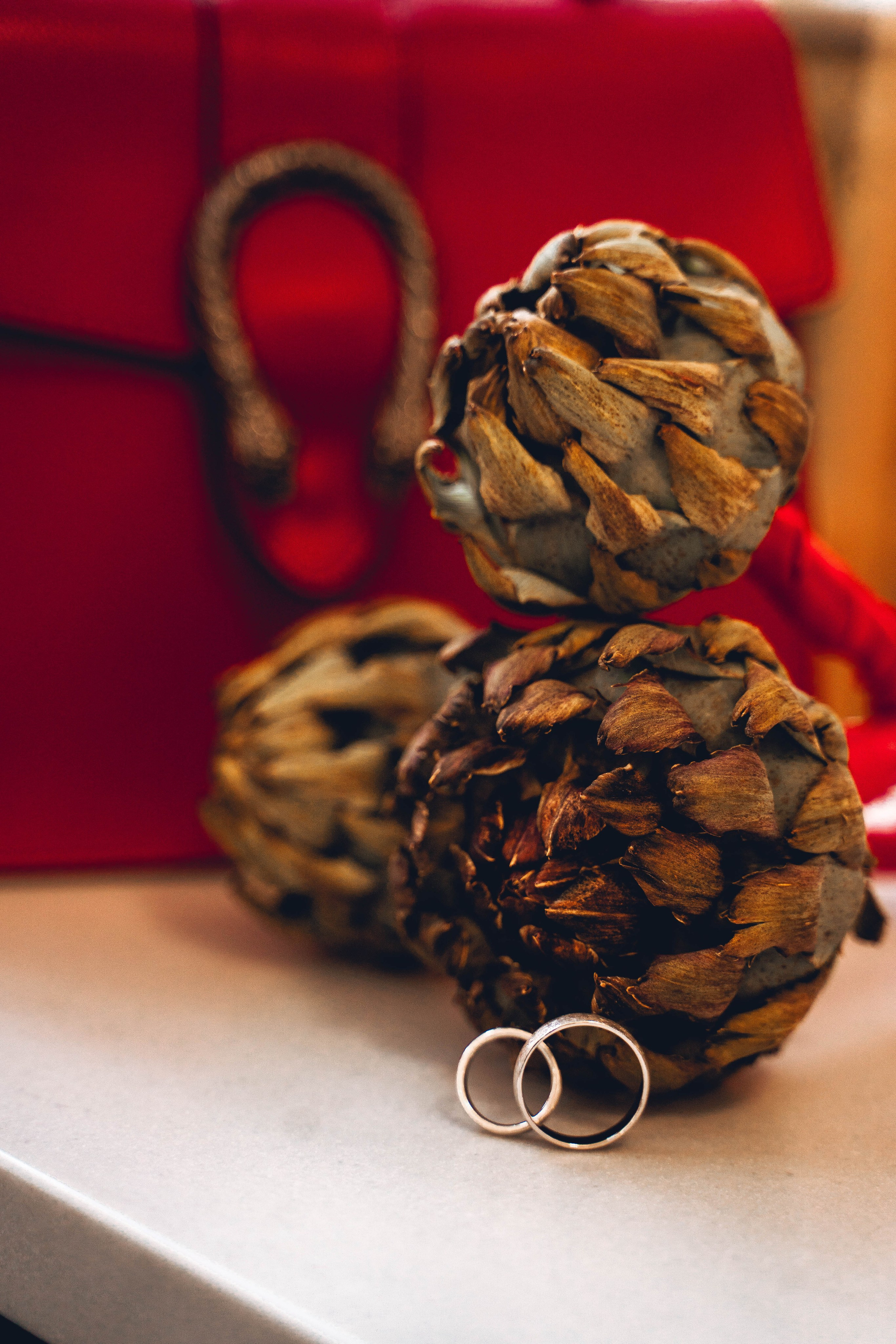 Анастасия & Антон