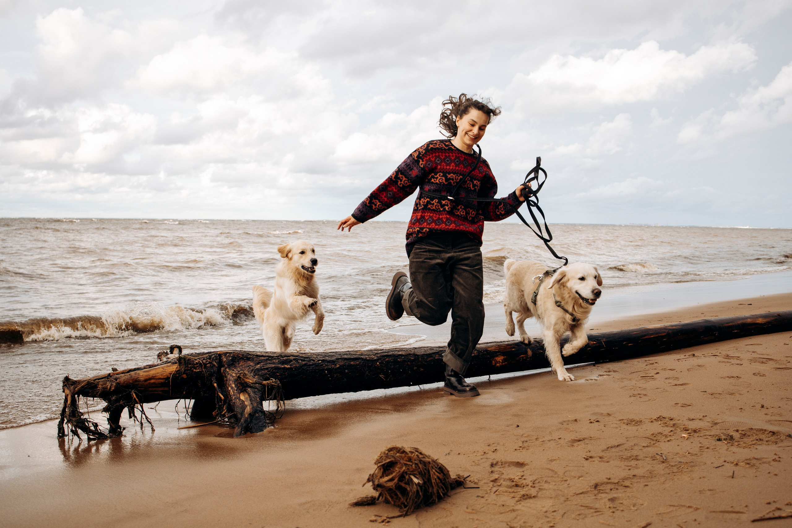 Прогулка Насти с Арчи и Арагоном. Фотограф-анималист в Санкт-Петеребурге Титова Алиса