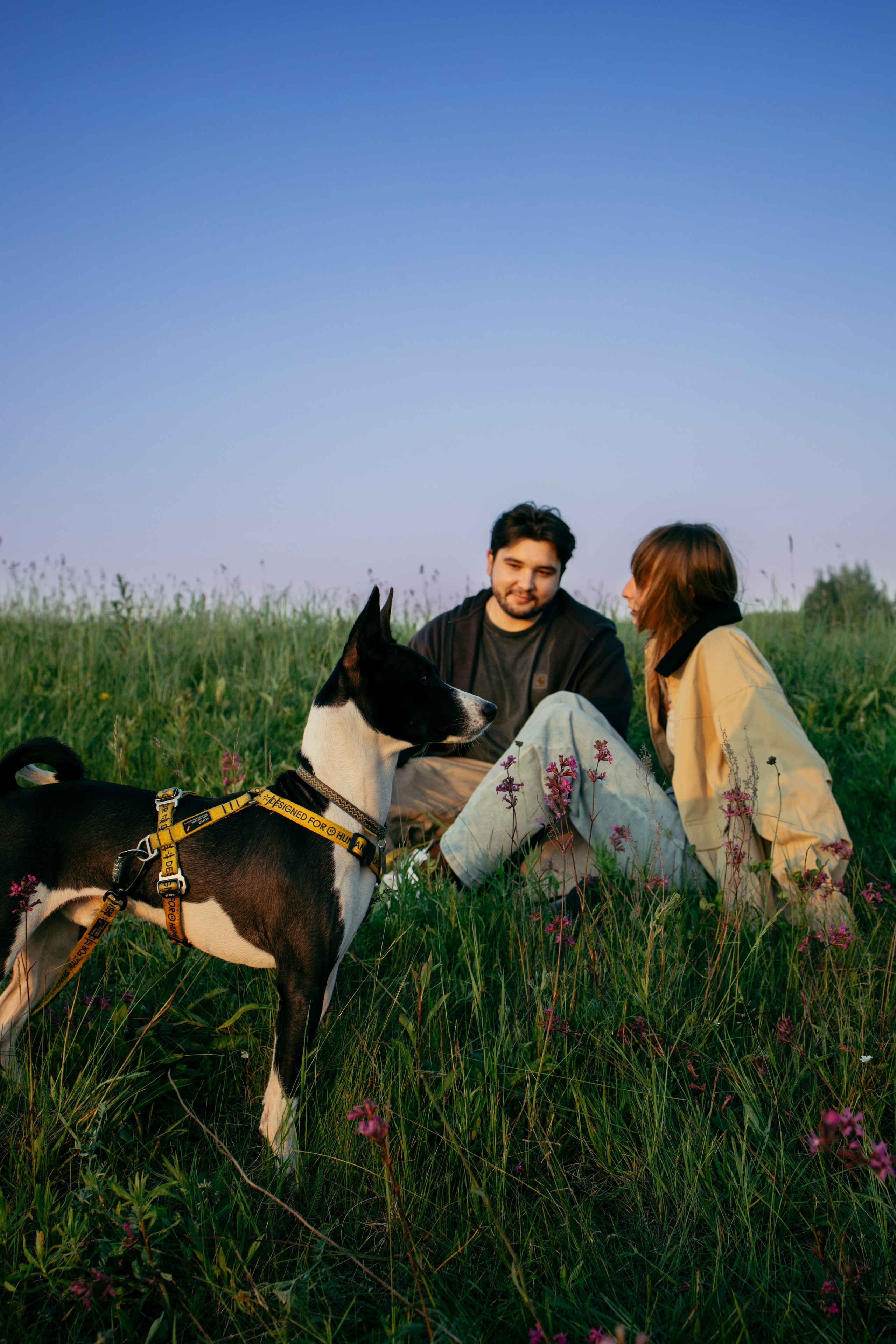 Итачи и его семья 🐾. Фотограф-анималист в Санкт-Петеребурге Титова Алиса