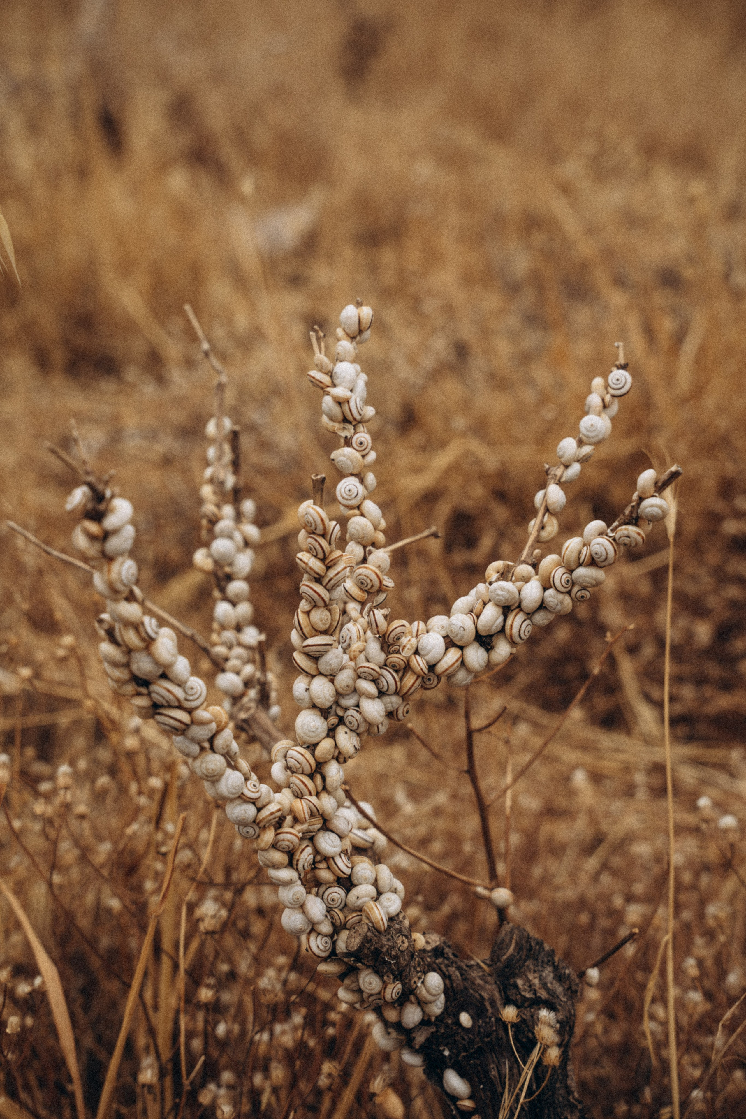 Крит лето!. Anita_photo