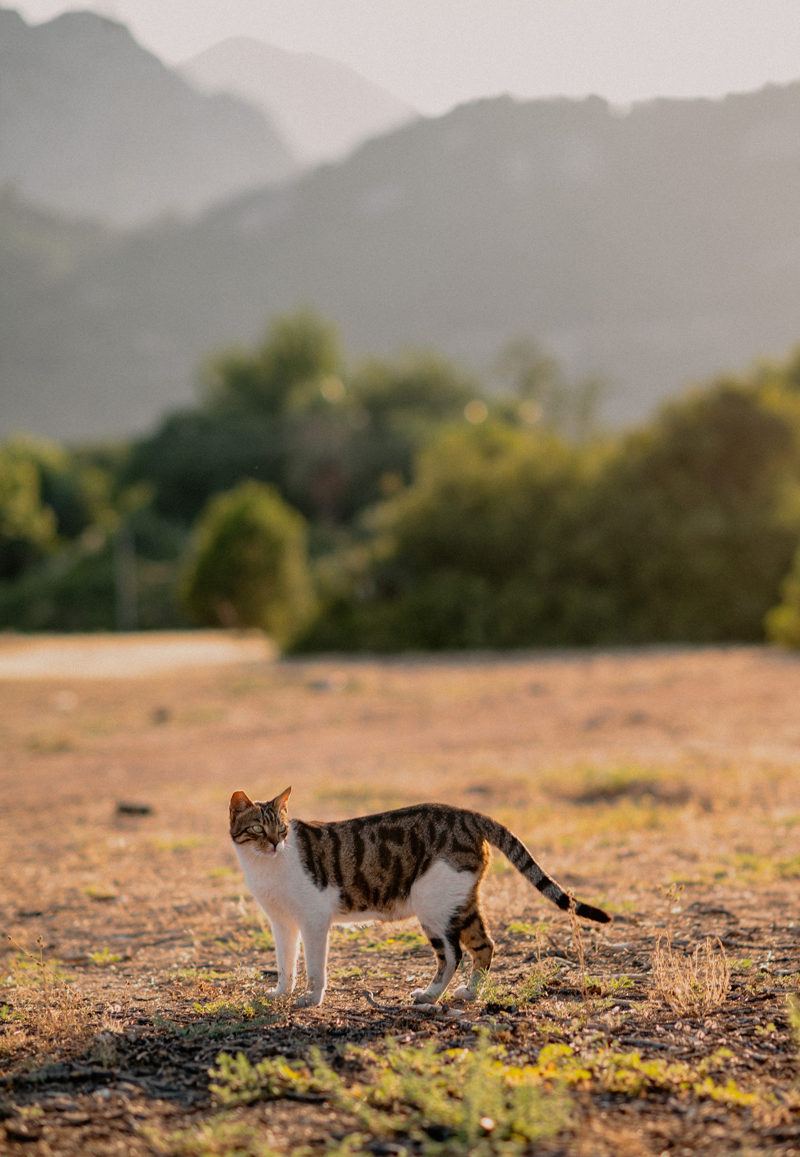 Anya. Wedding and Destination photographer Rustam Kalimullin