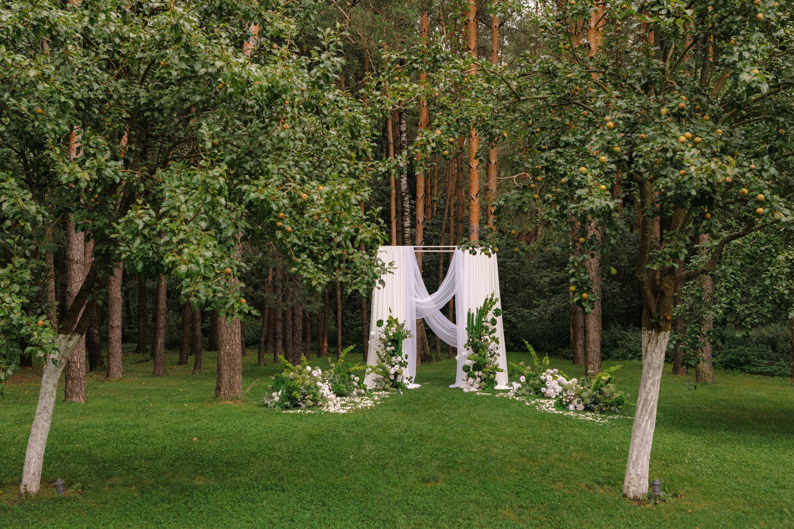 Зеленый сад