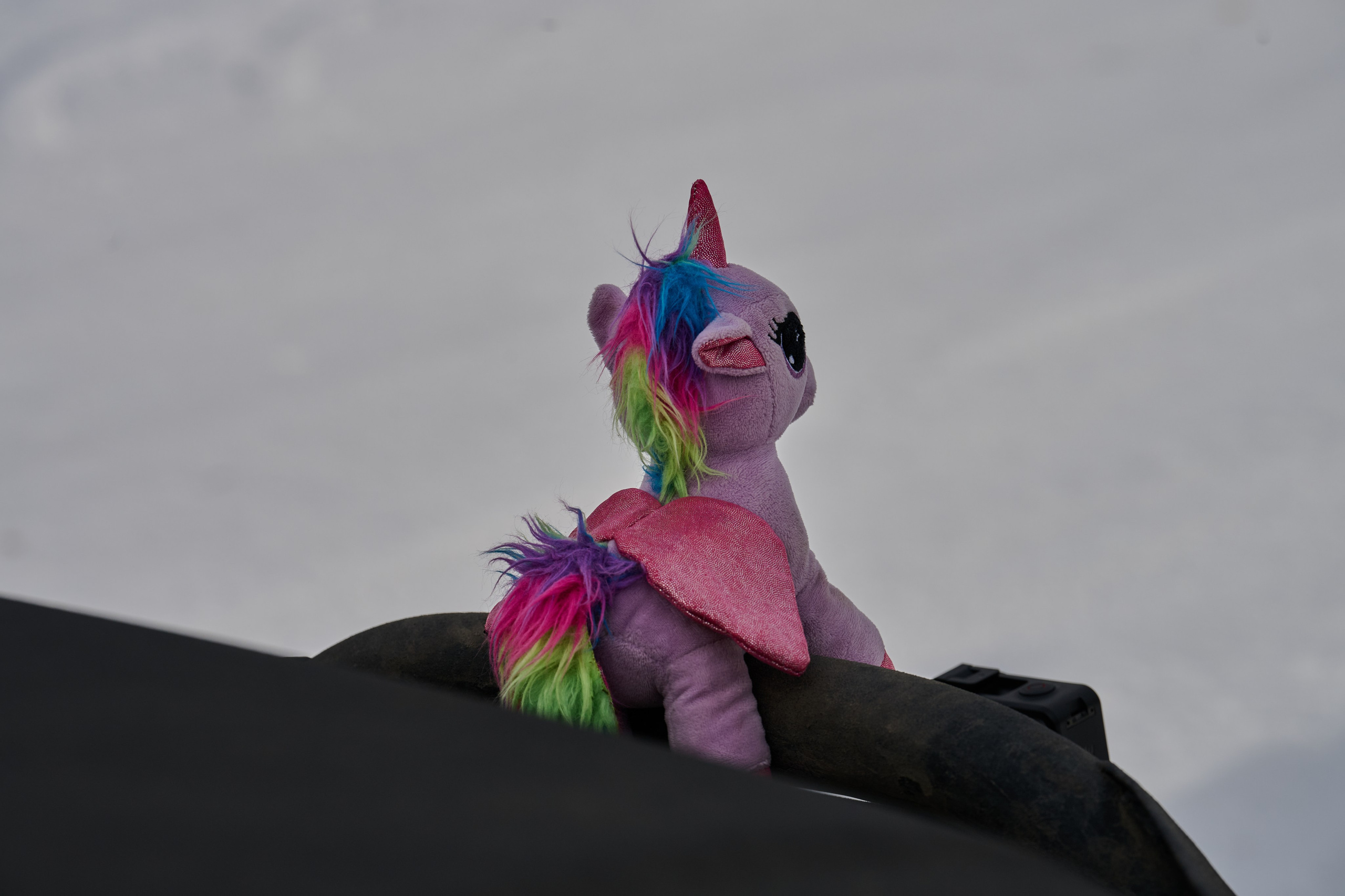 Рубежное. Январь 2026. Фотограф Роман Адлер