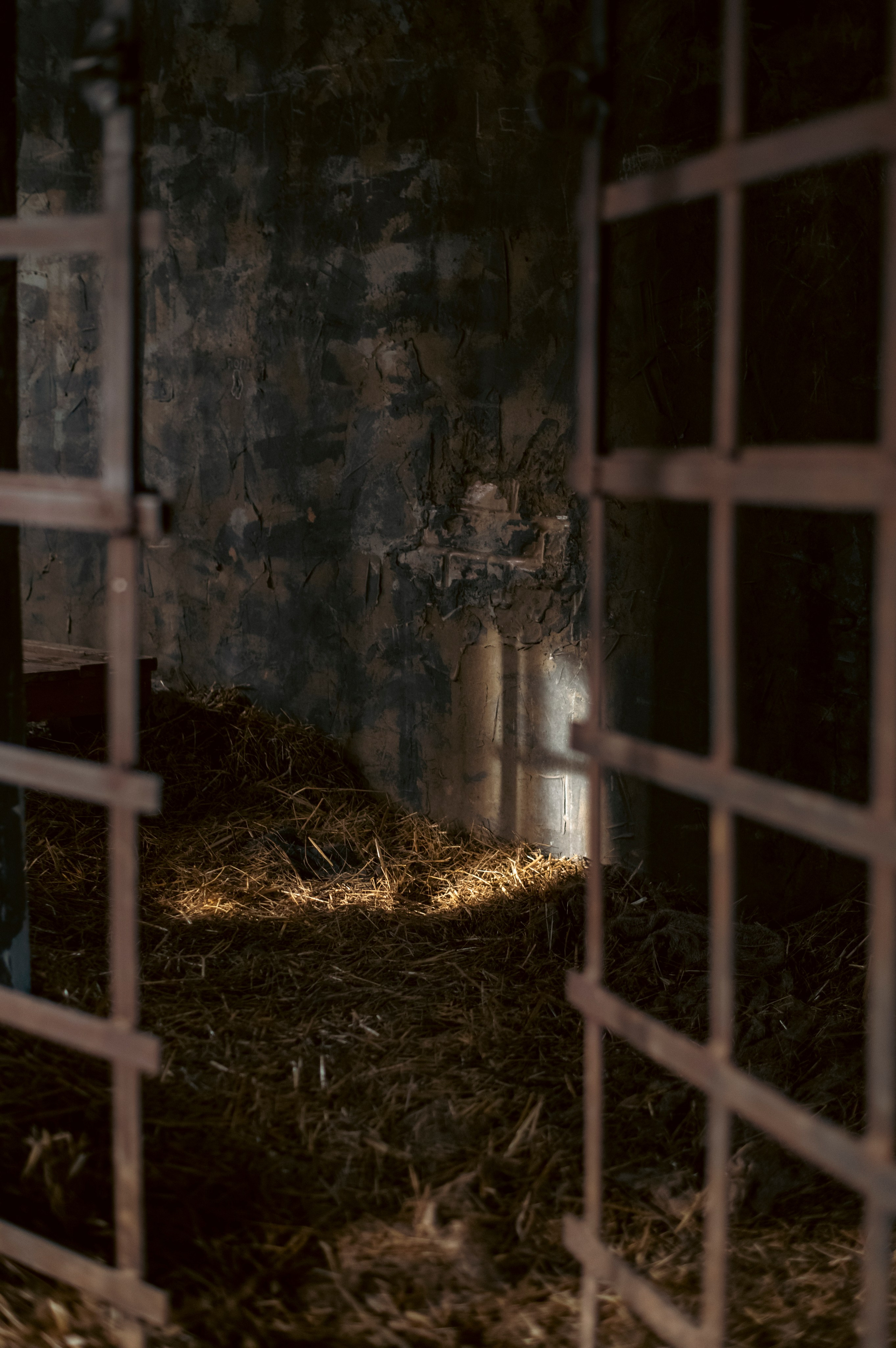 Фотопрогулка апрель 2022. Фотограф Роман Адлер