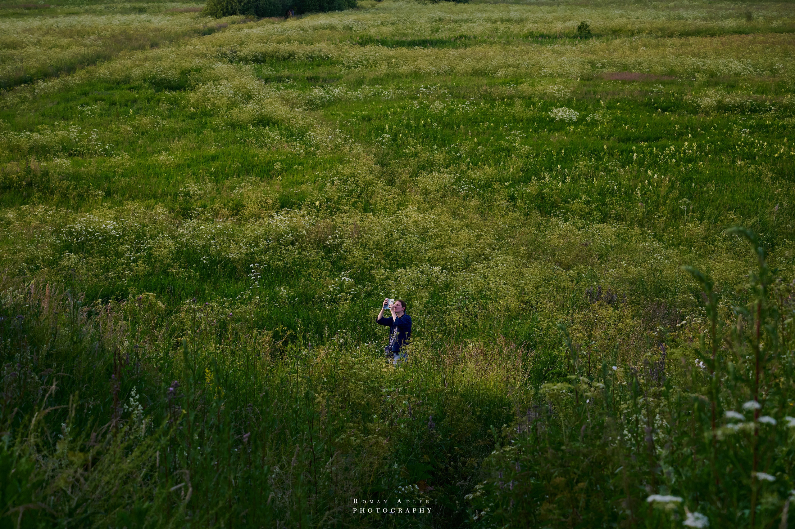 Суздаль. Июнь 2025. Фотограф Роман Адлер