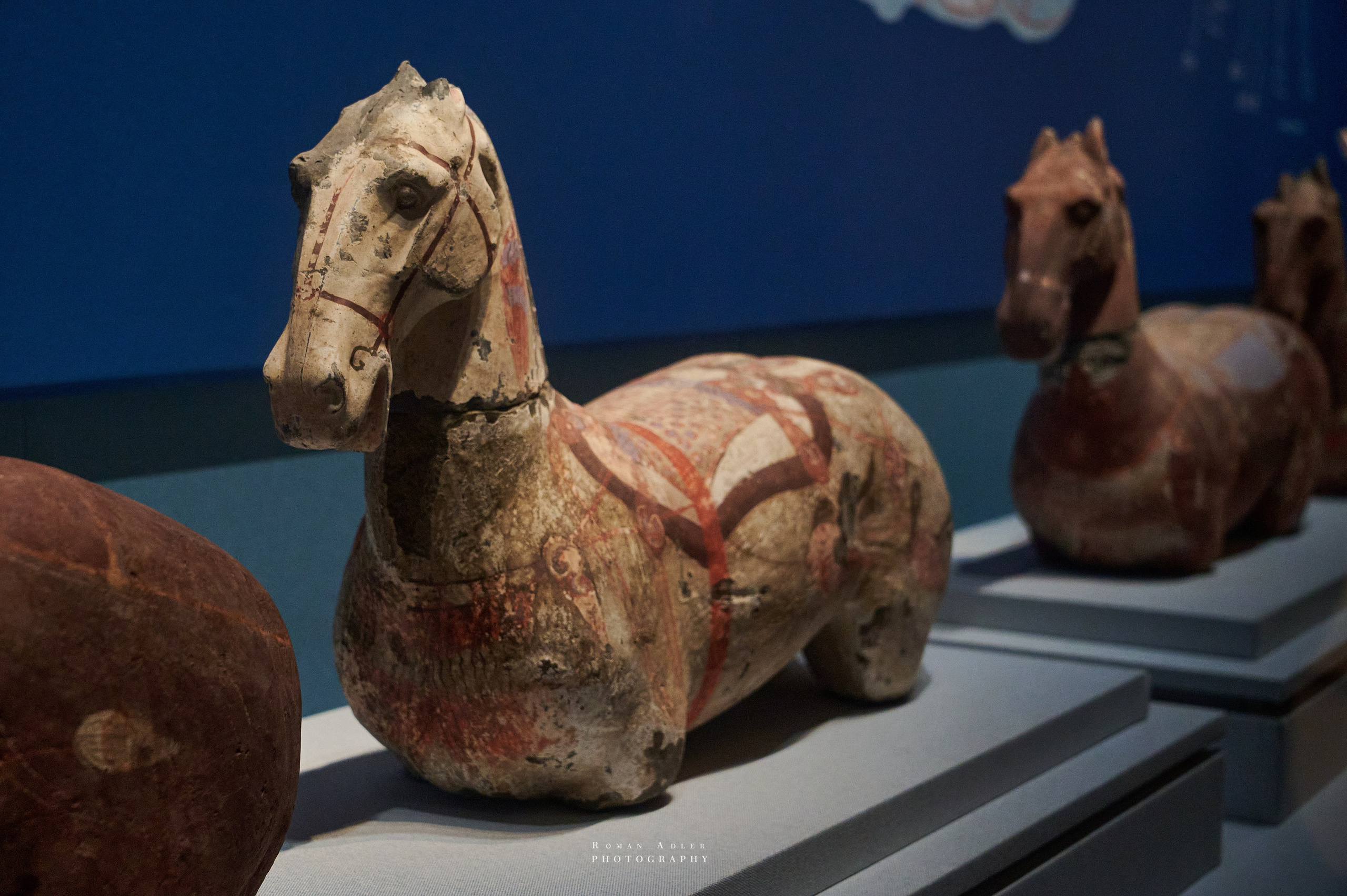 Национальный краеведческий музей Цинчжоу. Фотограф Роман Адлер