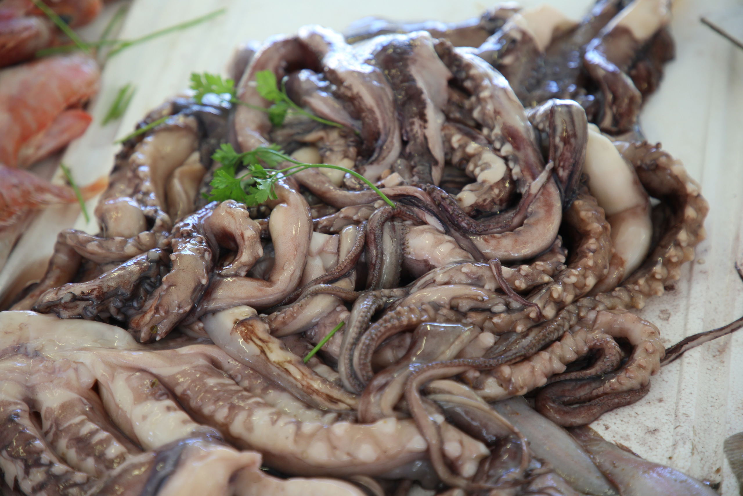 Espihnio, Portugal. Andrey Filippov Photographer