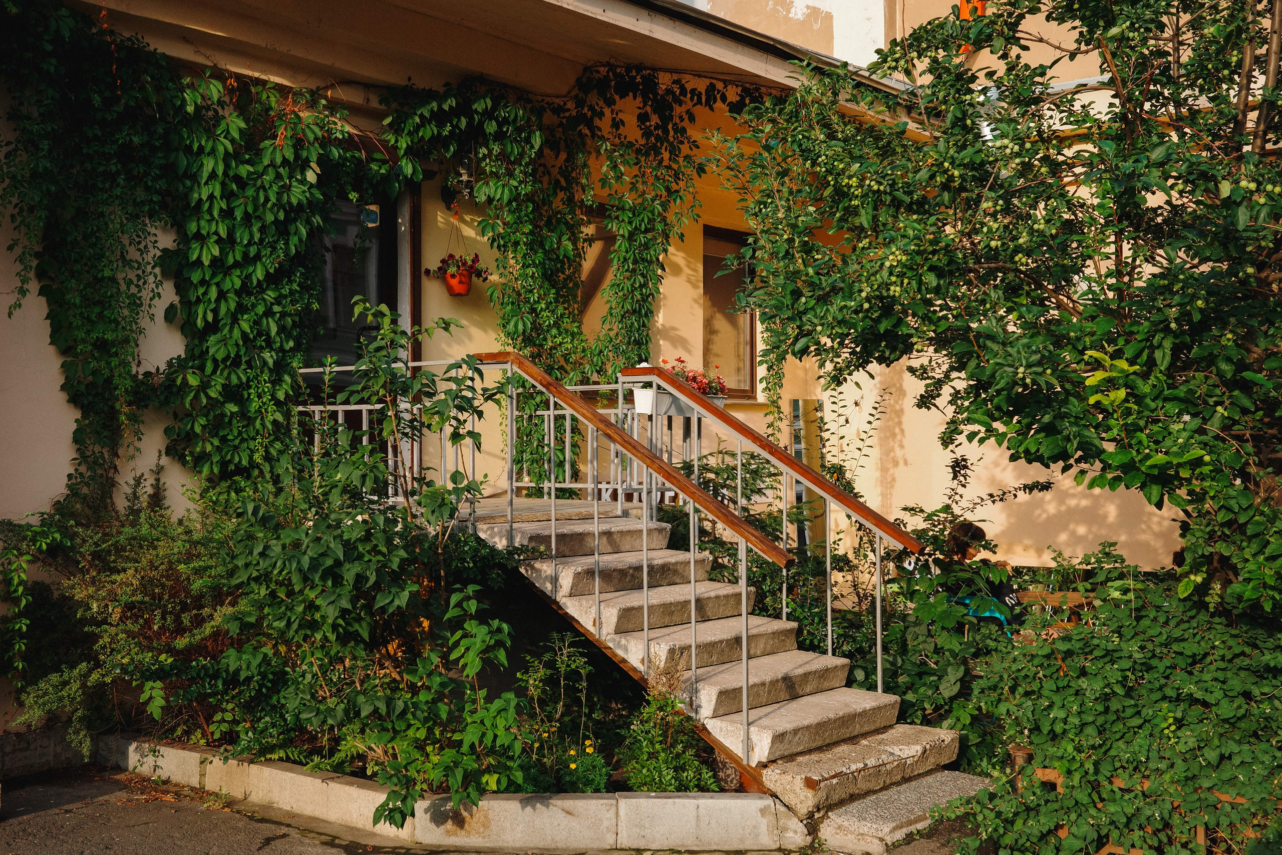 2024.08. Фотограф Алексей Алексеев