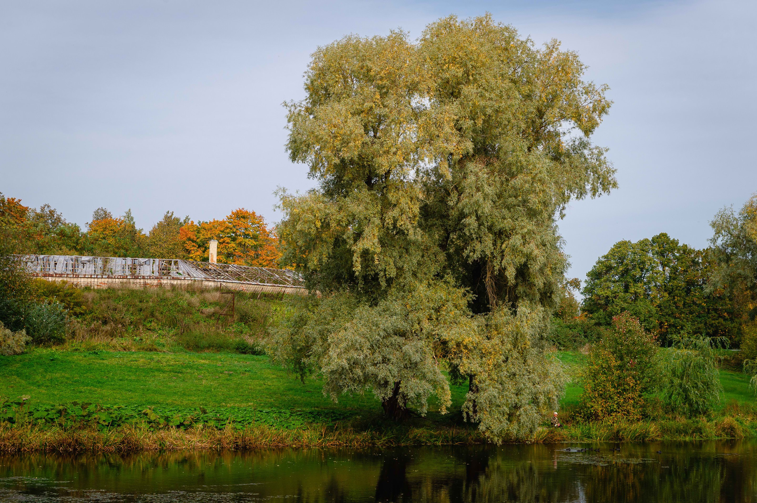 2023.09. Фотограф Алексей Алексеев