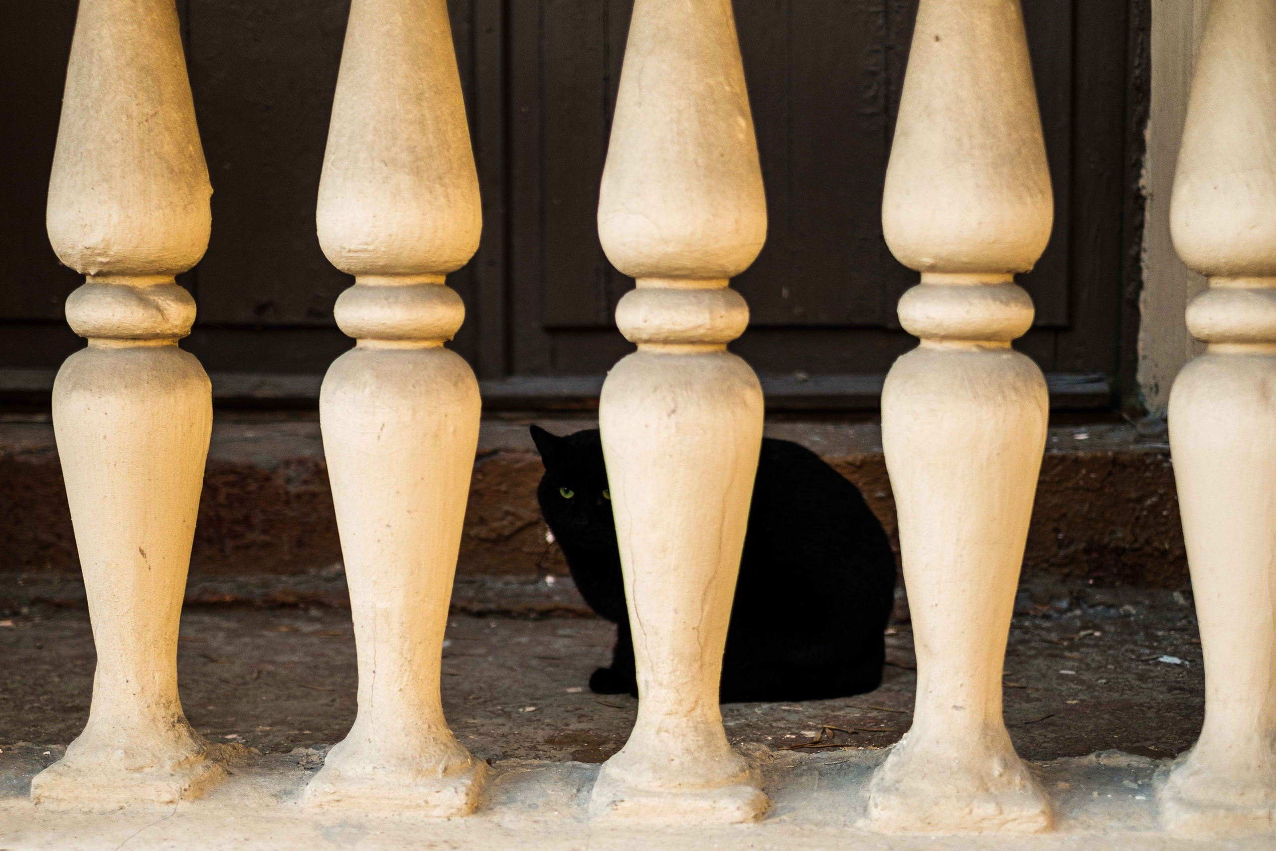 2021.11. Фотограф Алексей Алексеев