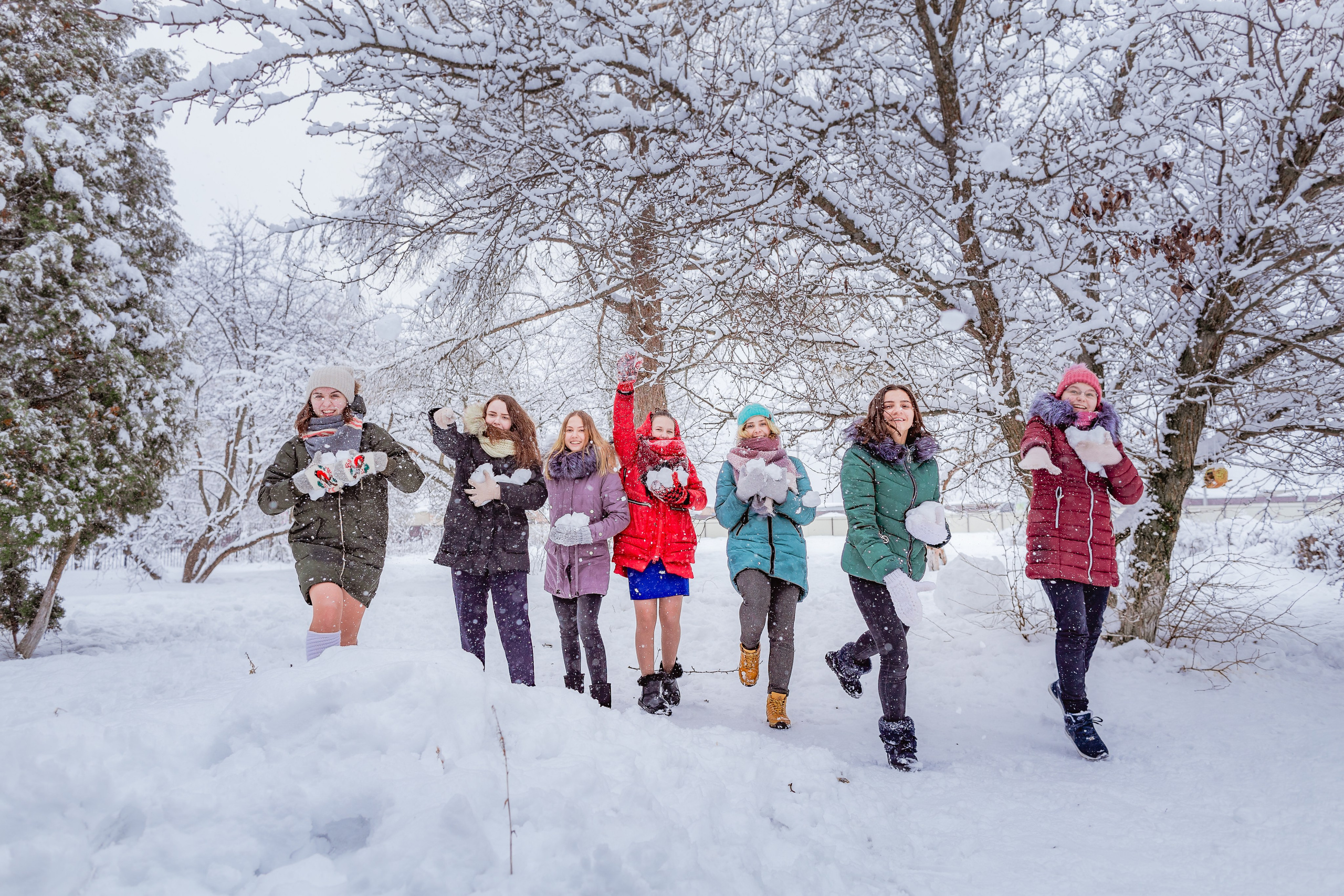 Зимняя прогулка