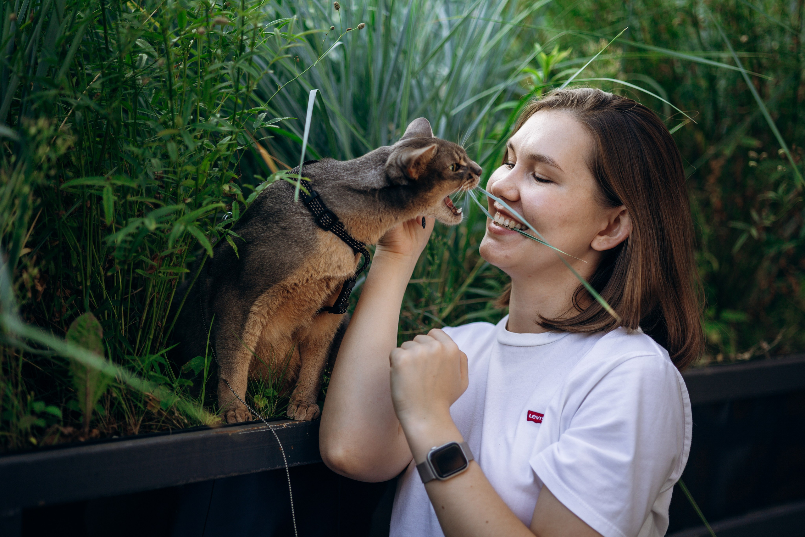 Циско и его семья. Фотограф — Анималист | Санкт-Петербург