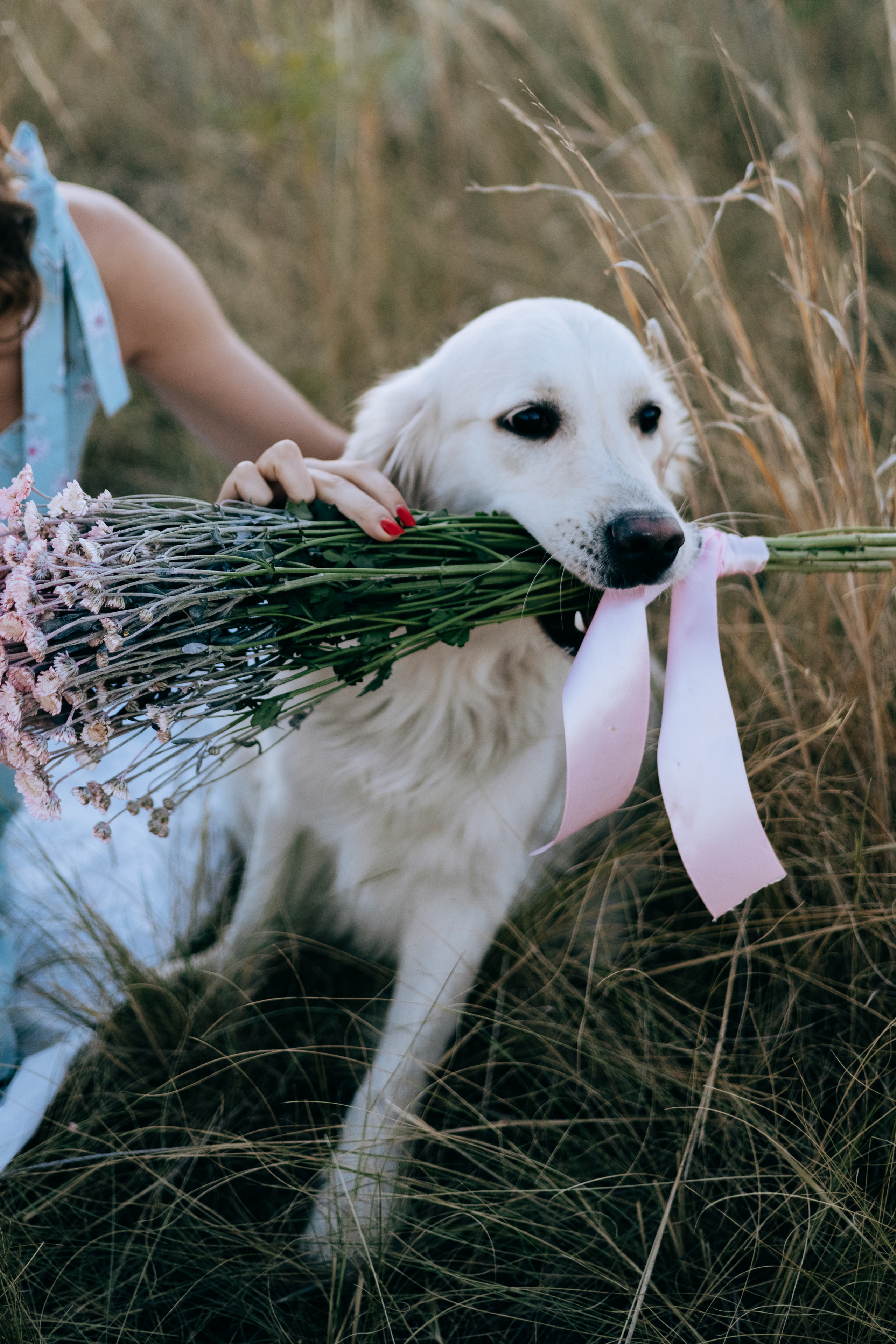 Анастасия и Дейзи. Фотограф Волгоград Кристина Прохоренко