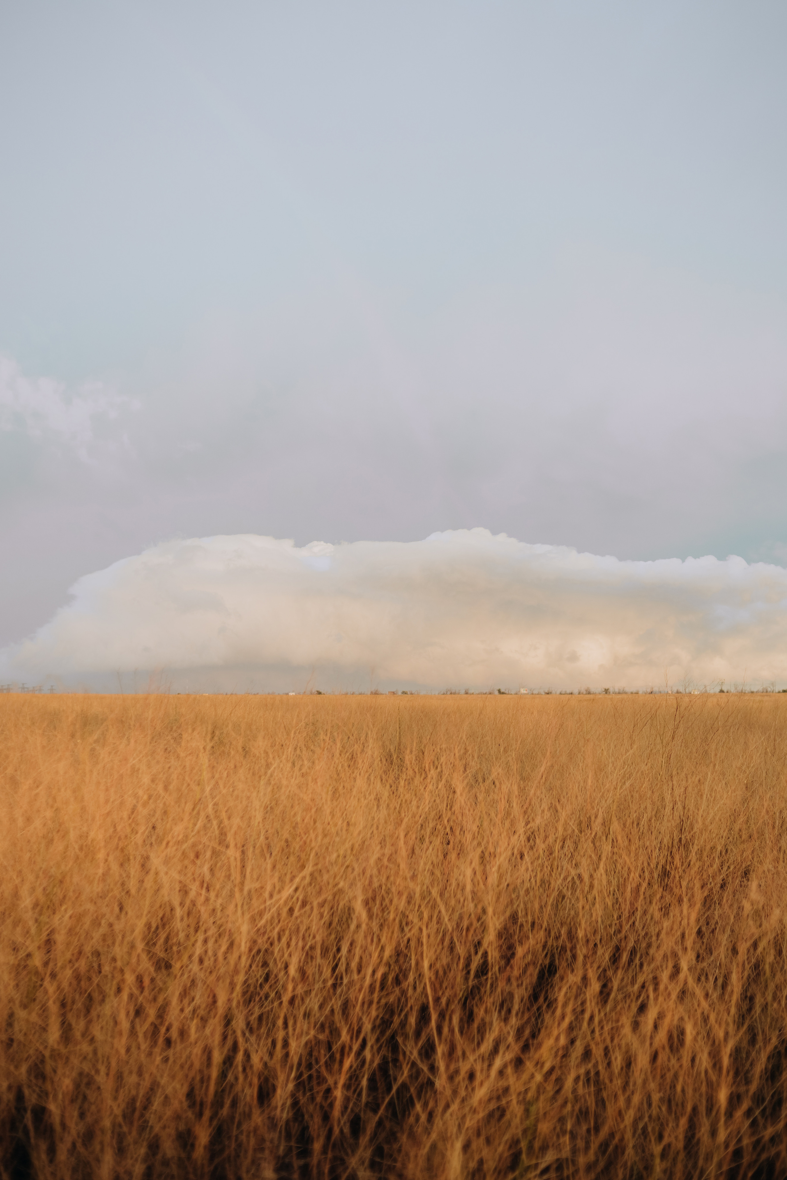 Валерия, Александр. Фотограф Волгоград Кристина Прохоренко