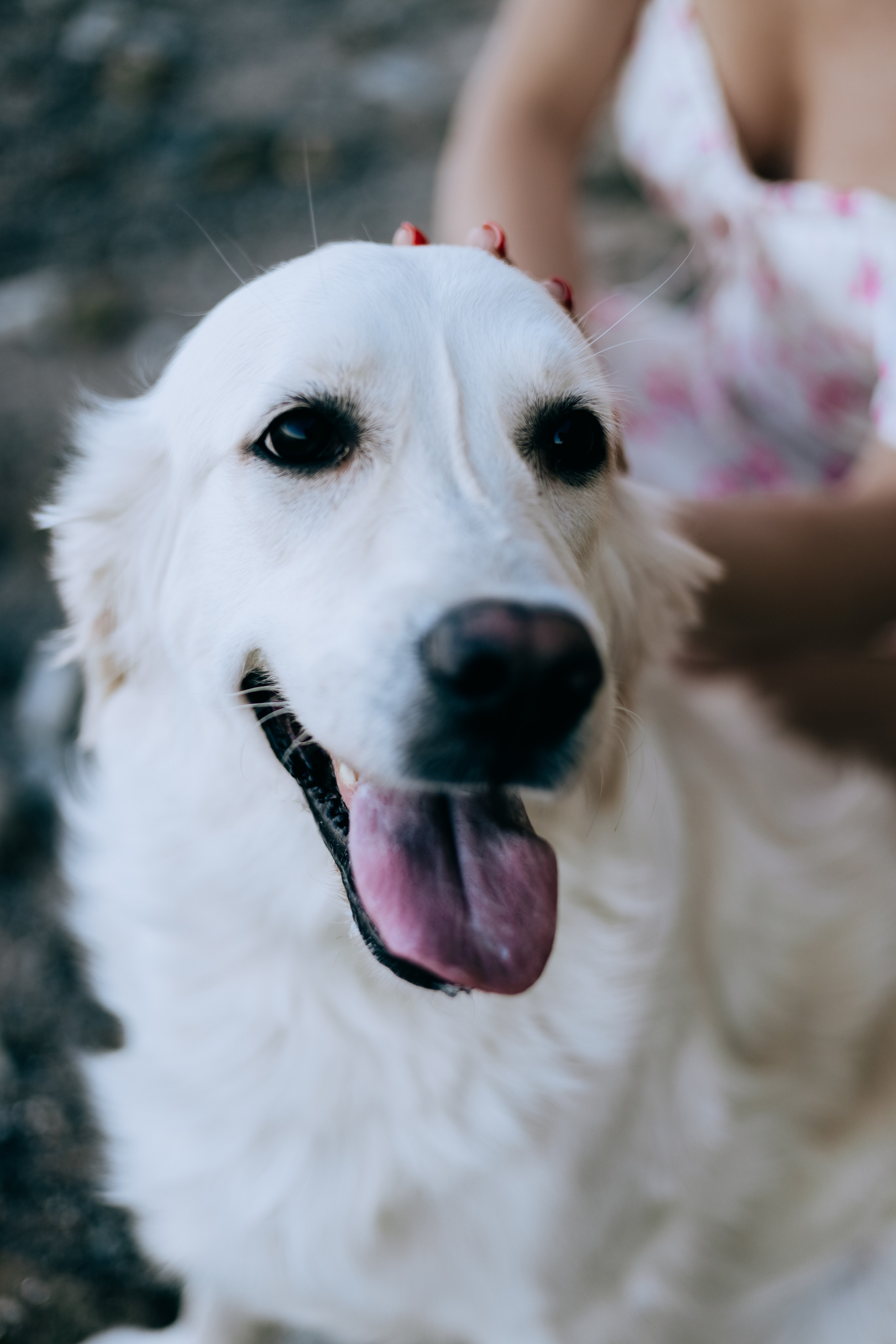 Анастасия и Дейзи. Фотограф Волгоград Кристина Прохоренко