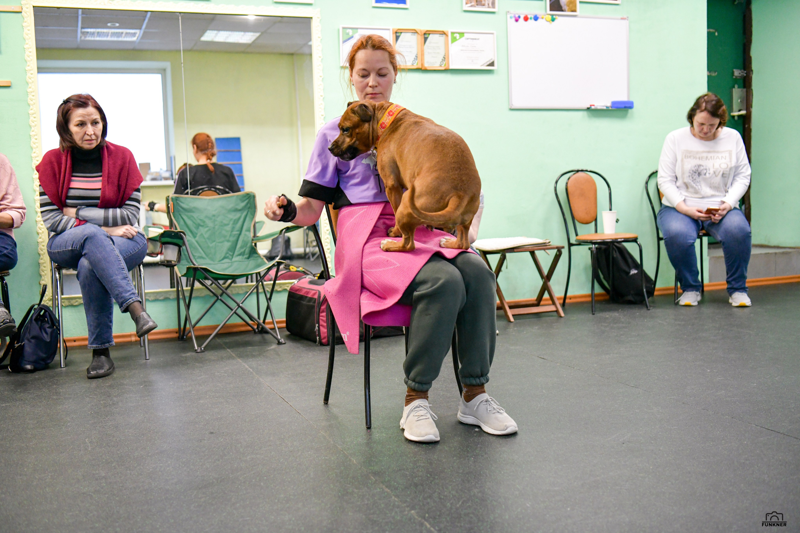 Кинологический клуб «Бодрый хвост». Свой взгляд через объектив