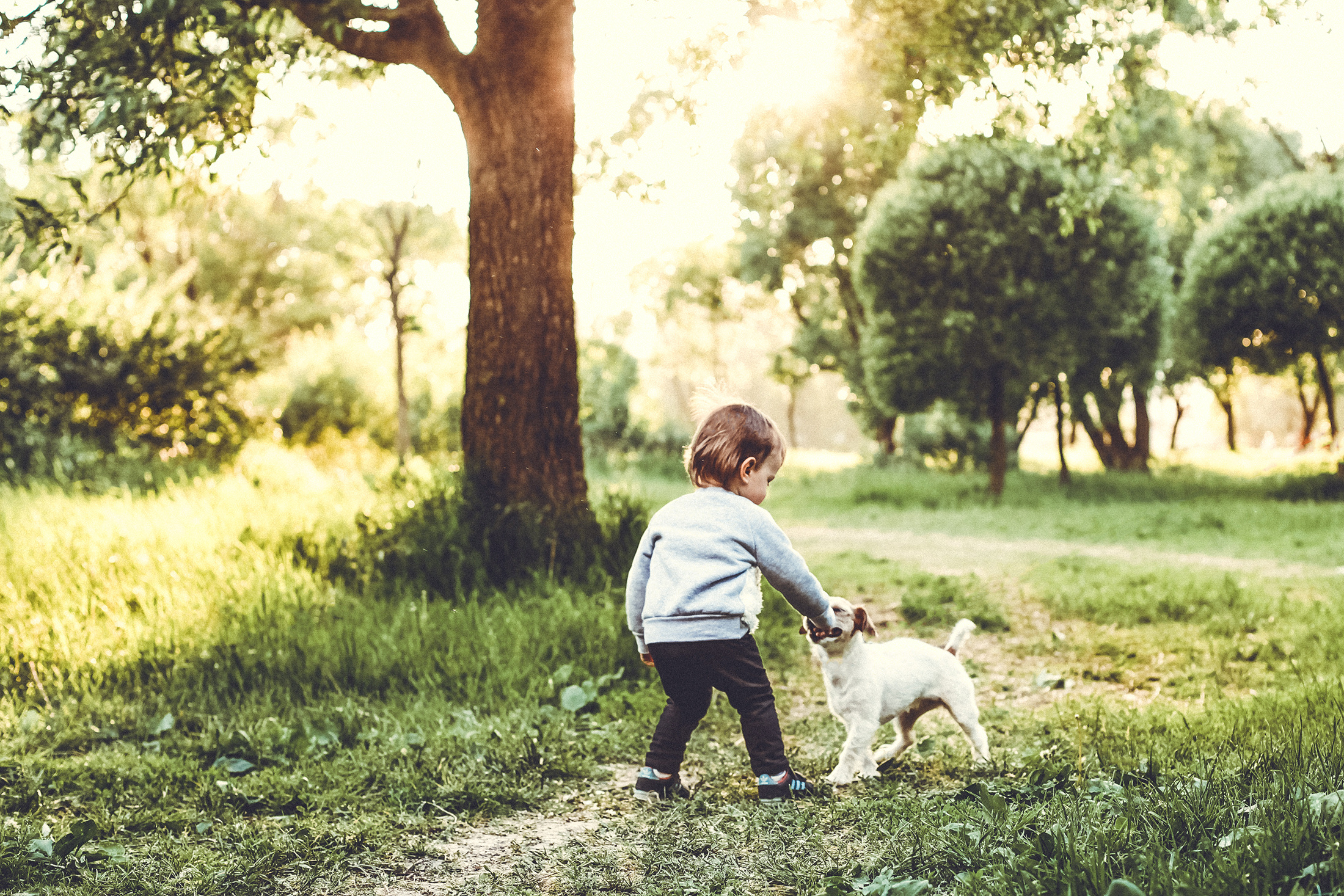 Живые семейные фотосессии в СПб. Портретный фотограф в Санкт-Петербурге Любовь Волошина