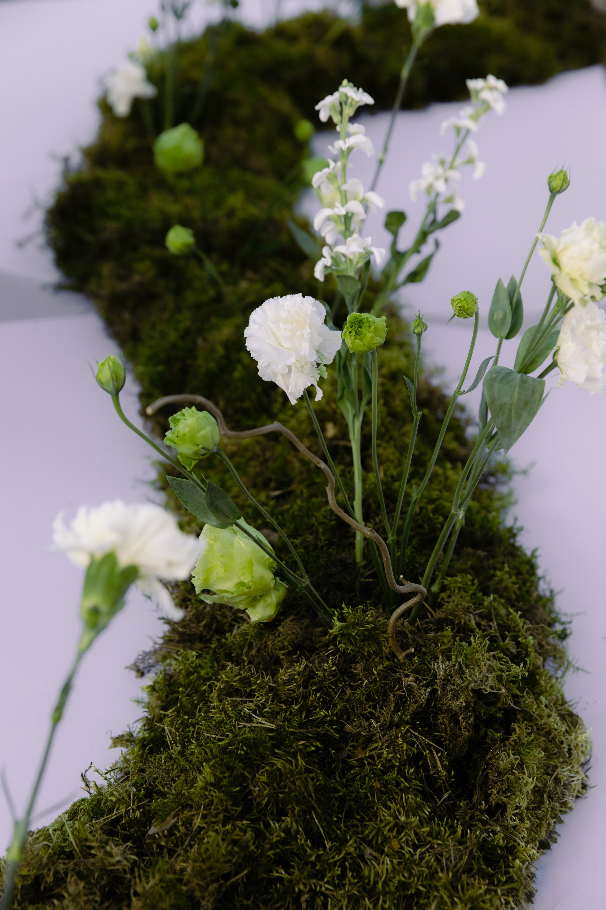 Александр и Валерия. Свадебный и портретный фотограф в Москве и Санкт-Петербурге