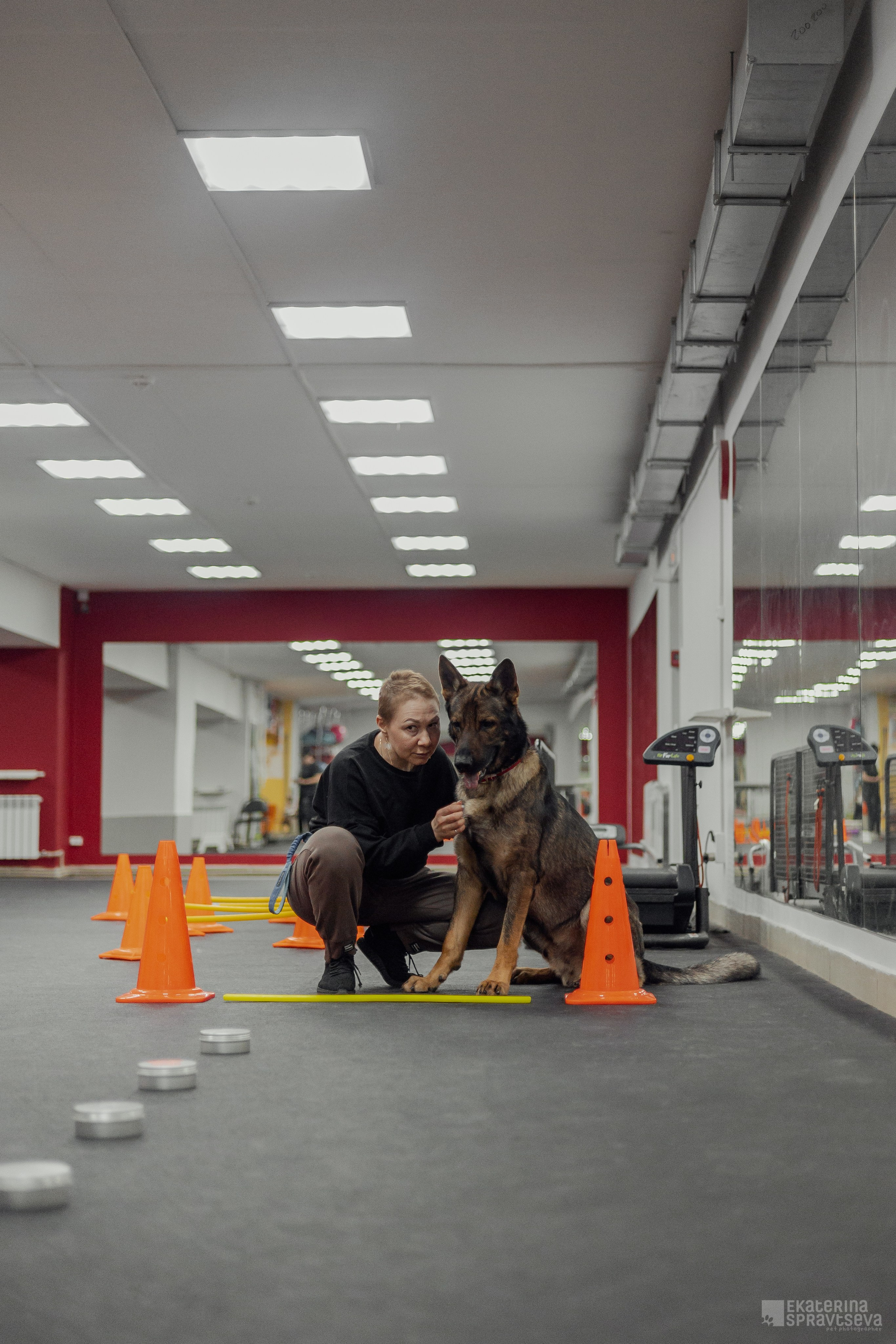 NoseWork. Фотограф Анималист Екатерина Справцева в Нижнем Новгороде