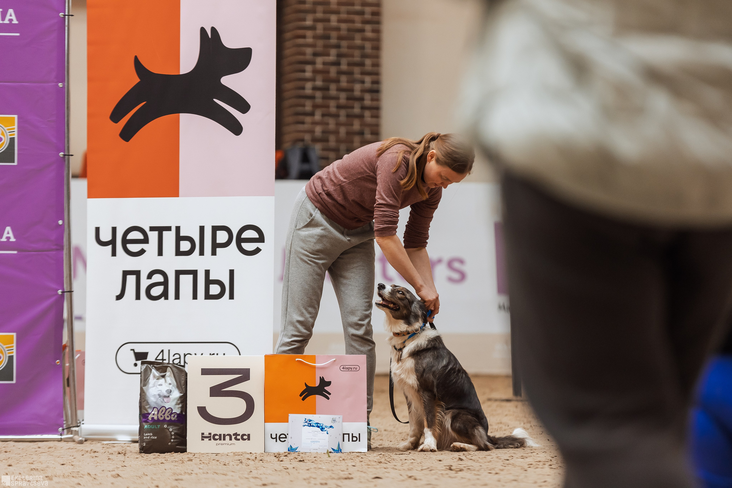 ЧРКФ Аджилити в Максима. Фотограф Анималист Екатерина Справцева в Нижнем Новгороде