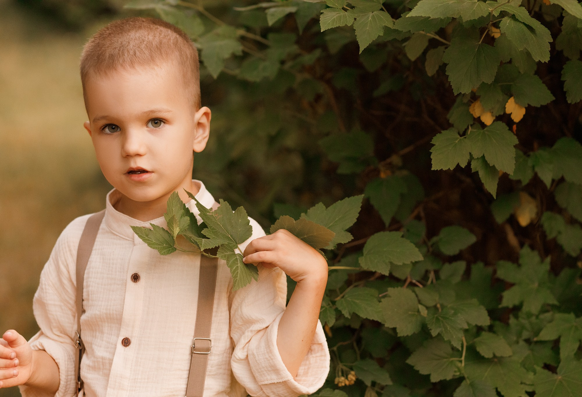 Аскорбиновы. Главная