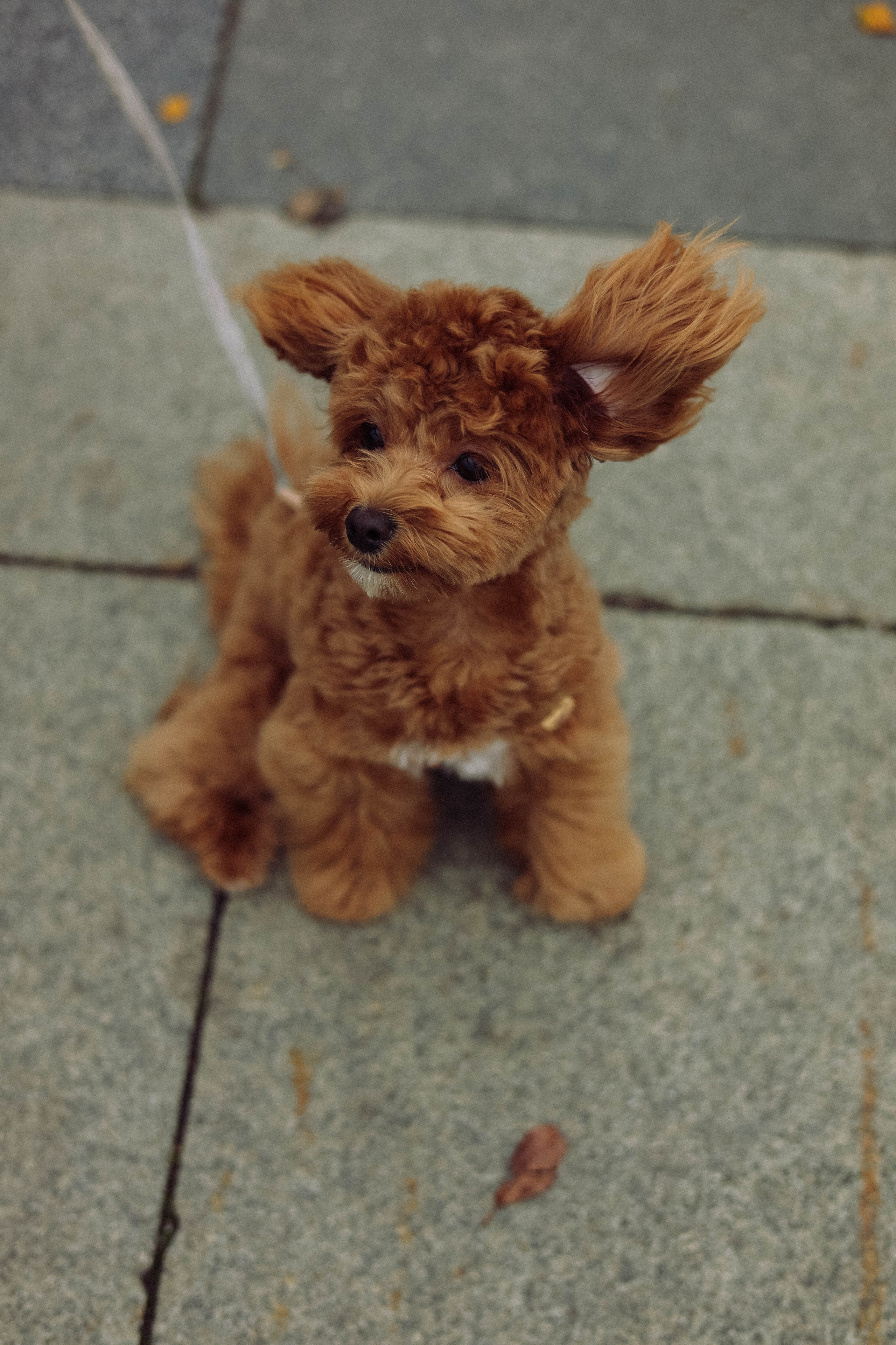 Кира. Фотограф в Москве Анастасия Калинина