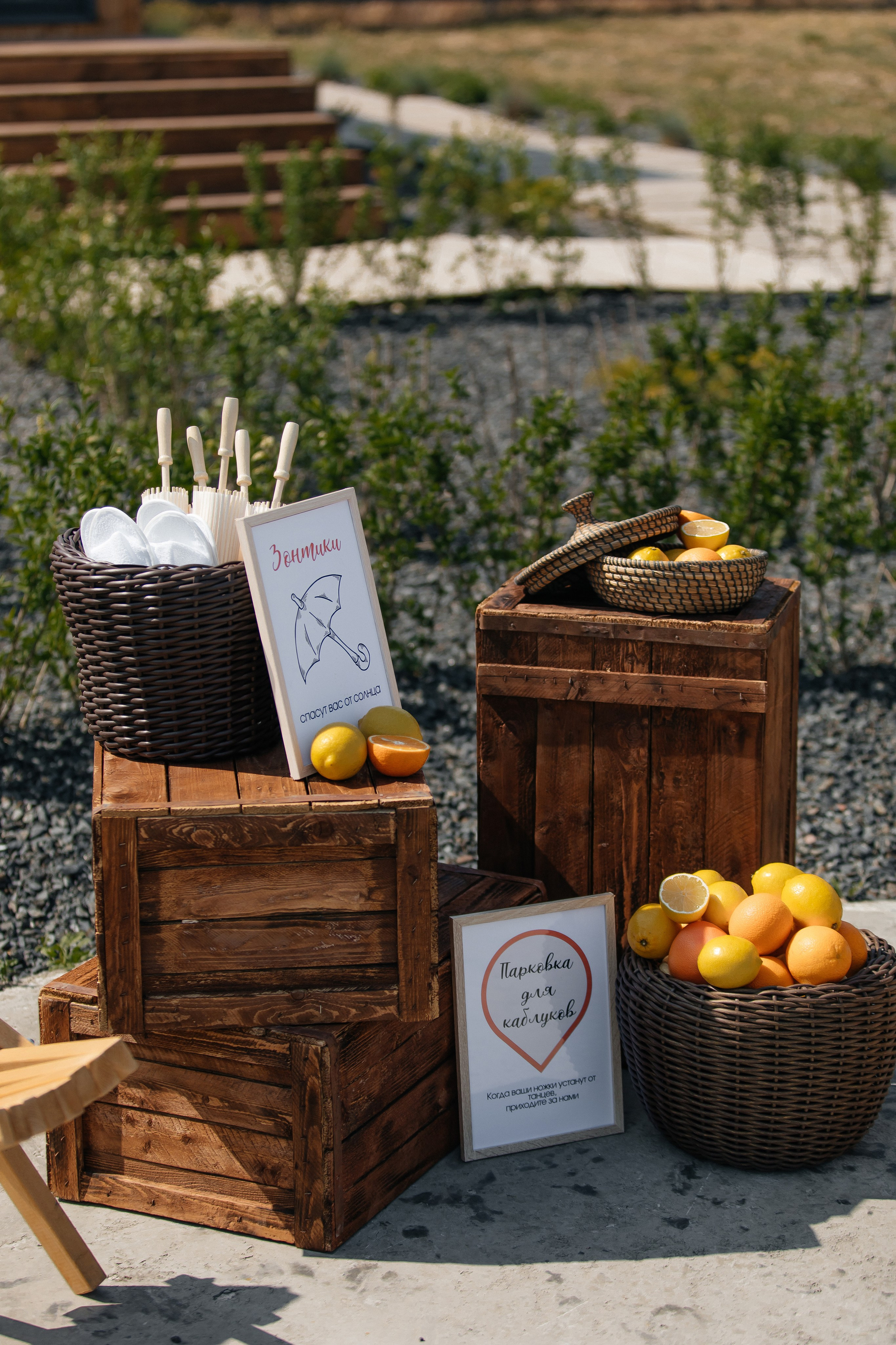 D&X. Фотограф Таганрог Хребет София