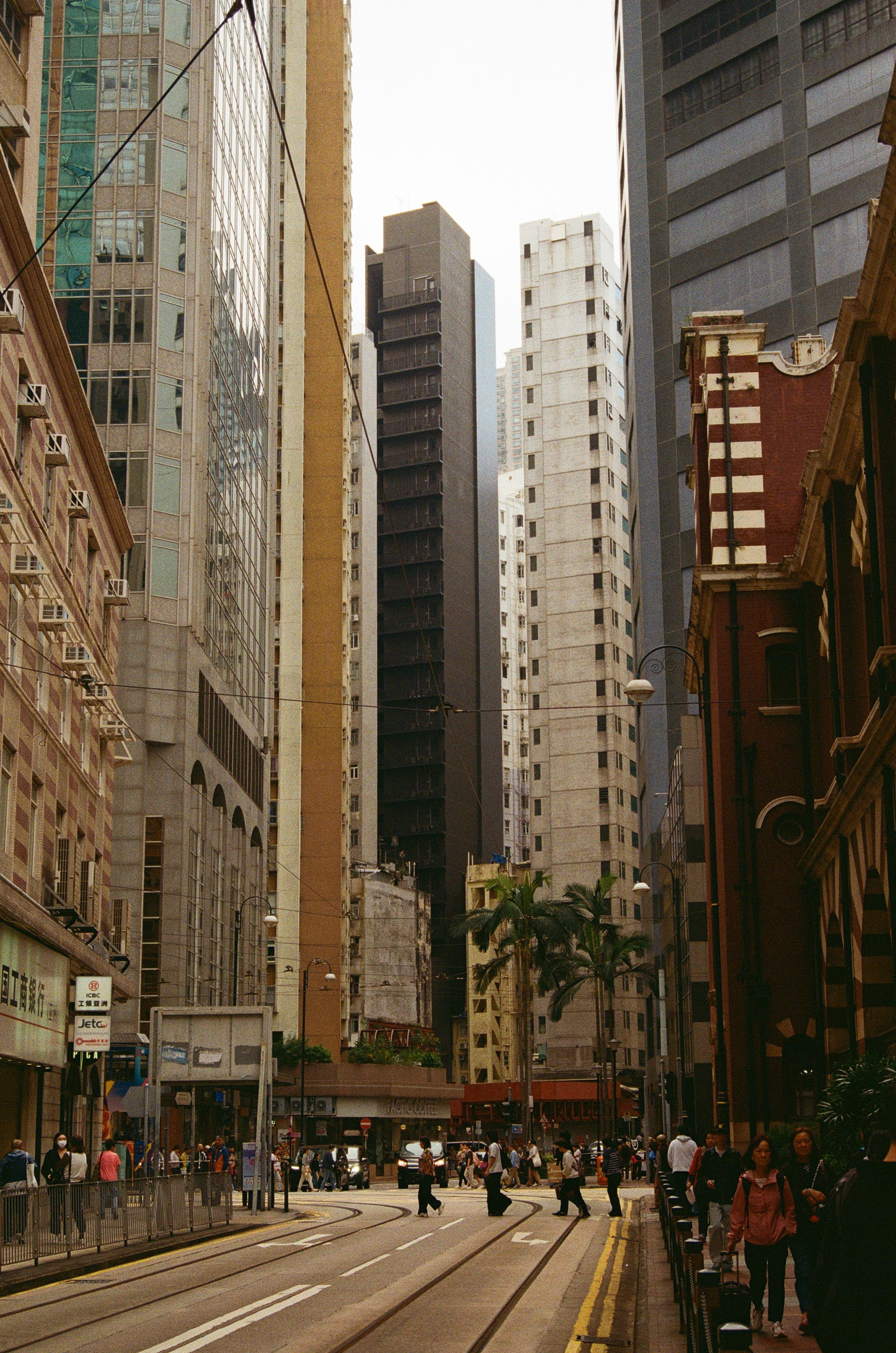 Гон Конг 2024. Репортажный и портретный фотограф Русакова Жанна