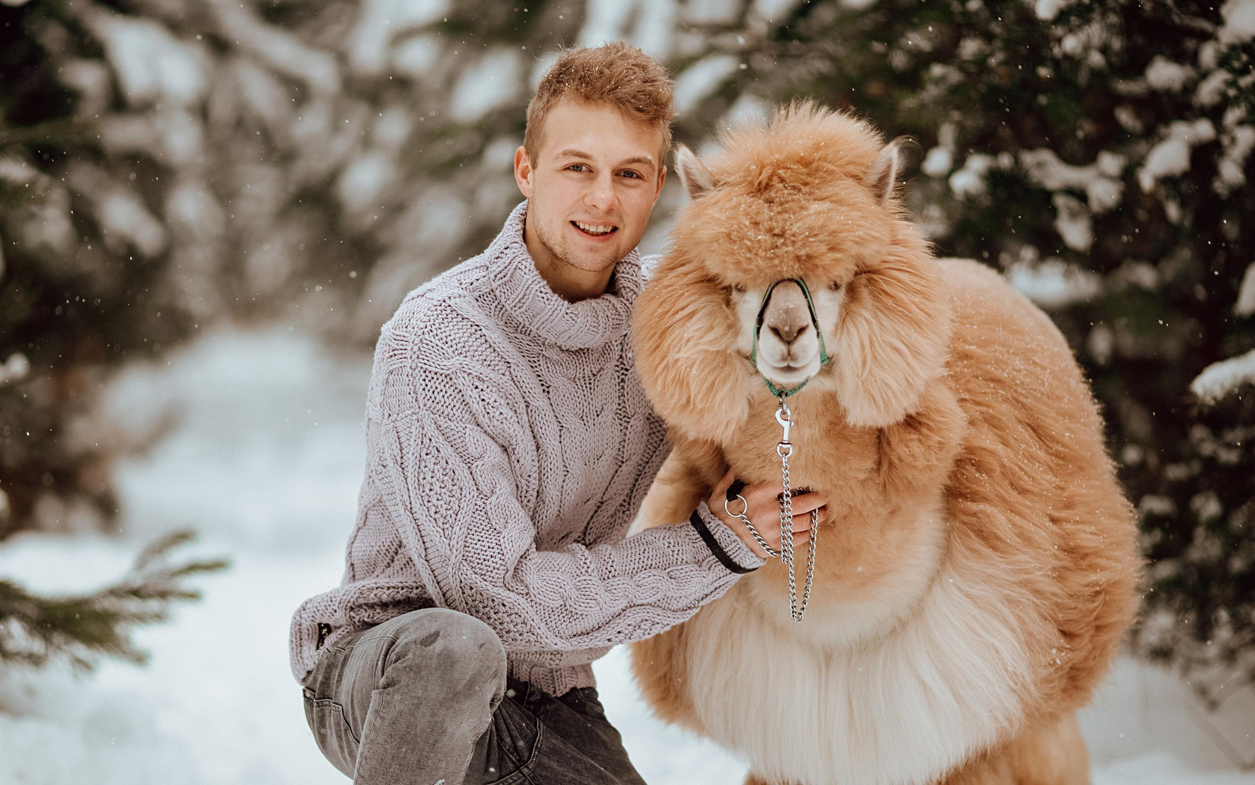 Winter wonderland. Алина Малышева, свадебный и семейный фотограф Москва