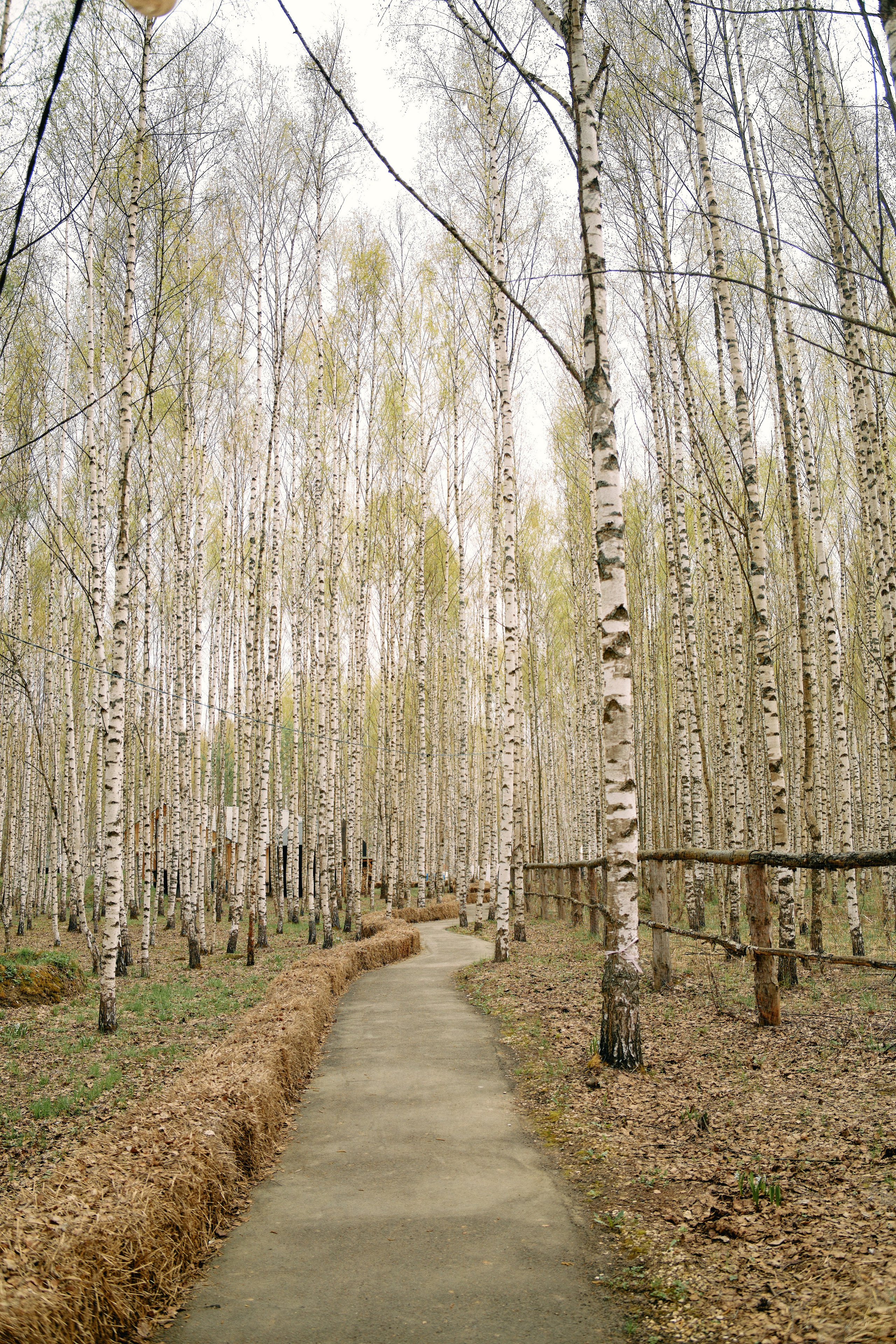 Бутик-отель Поле летом. Профессиональный Фотограф во Владимире, в Москве и в Суздале — Полина Романычева