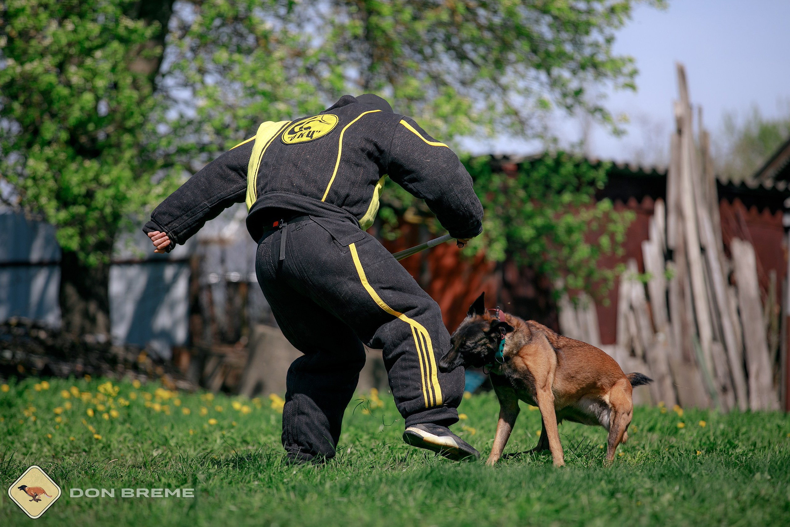 Семинар для фигурантов, день 4. Фотограф-анималист Mary Mart — Москва, Питер